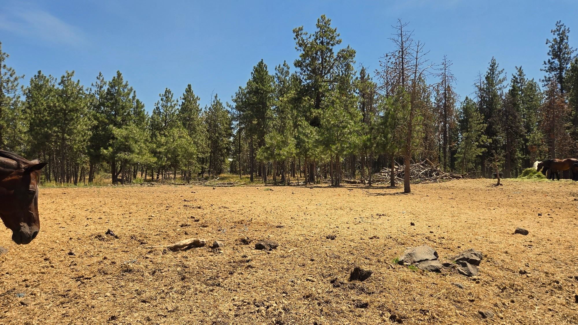 1810 W Paradise Rd - Photo 22