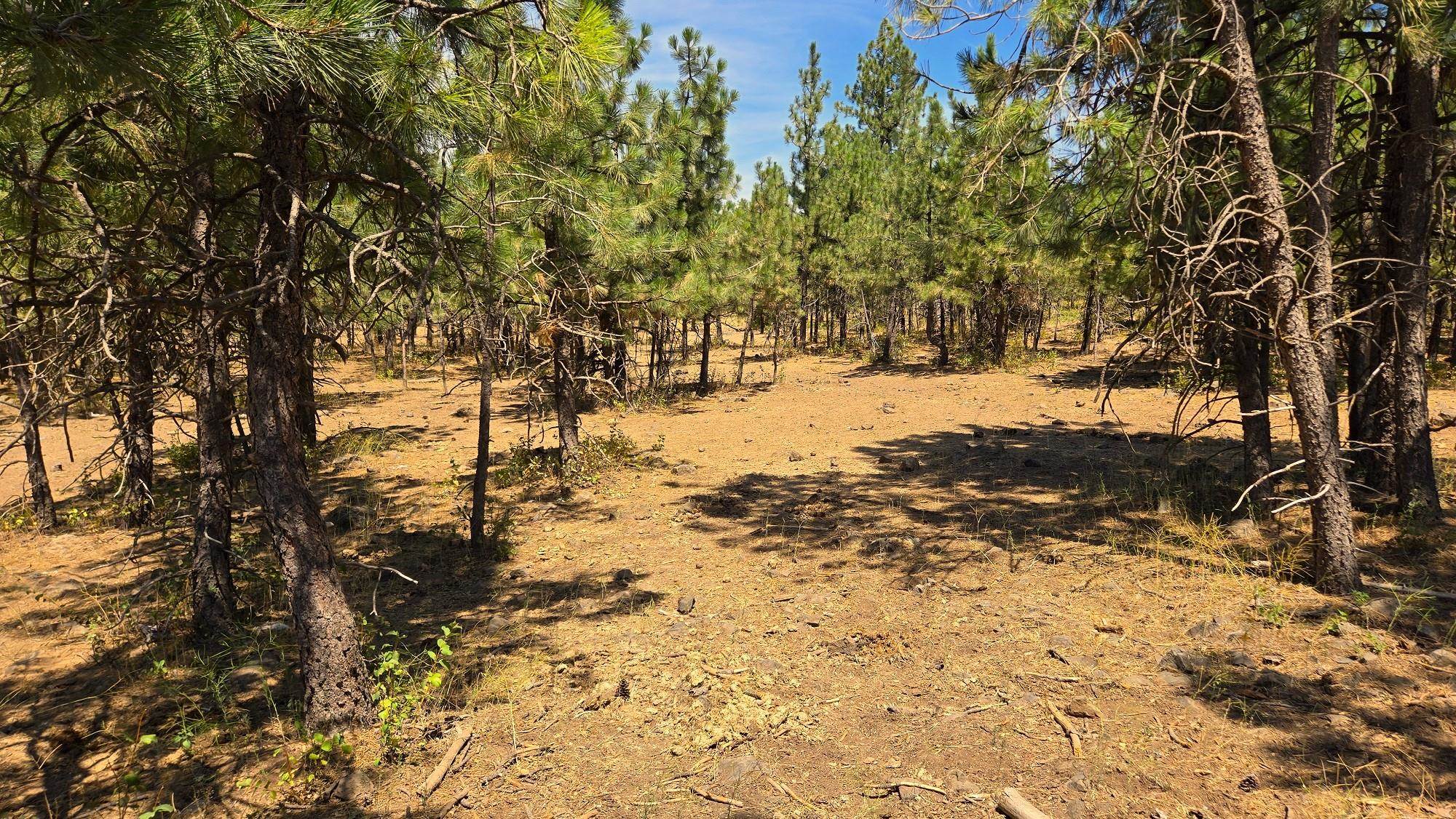 1810 W Paradise Rd - Photo 23