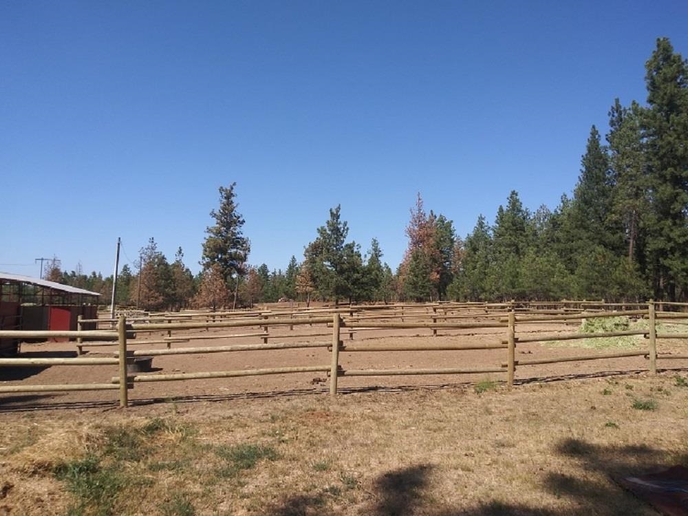 1810 W Paradise Rd - Photo 5