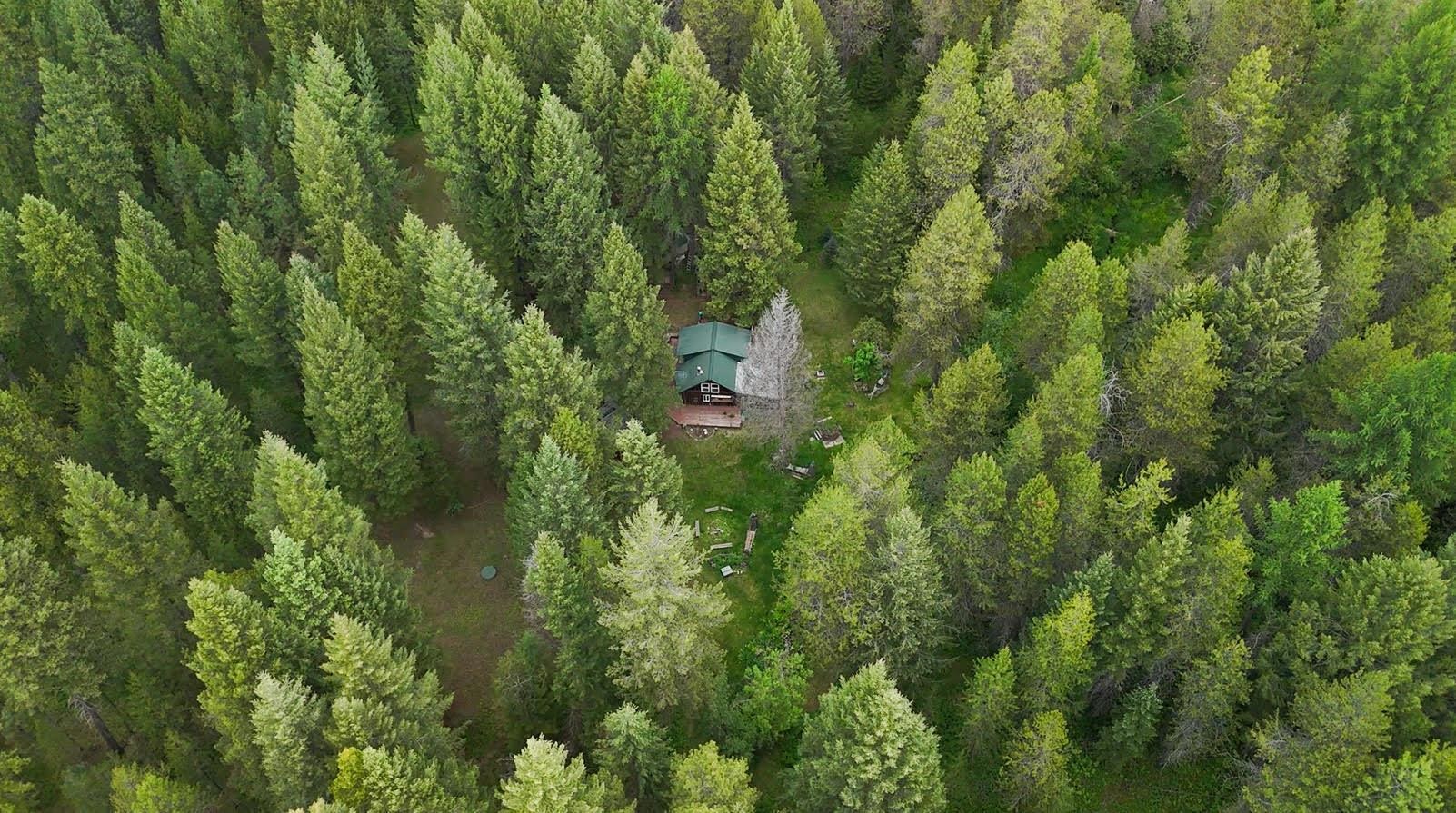 221 Trask Pond Rd - Photo 36