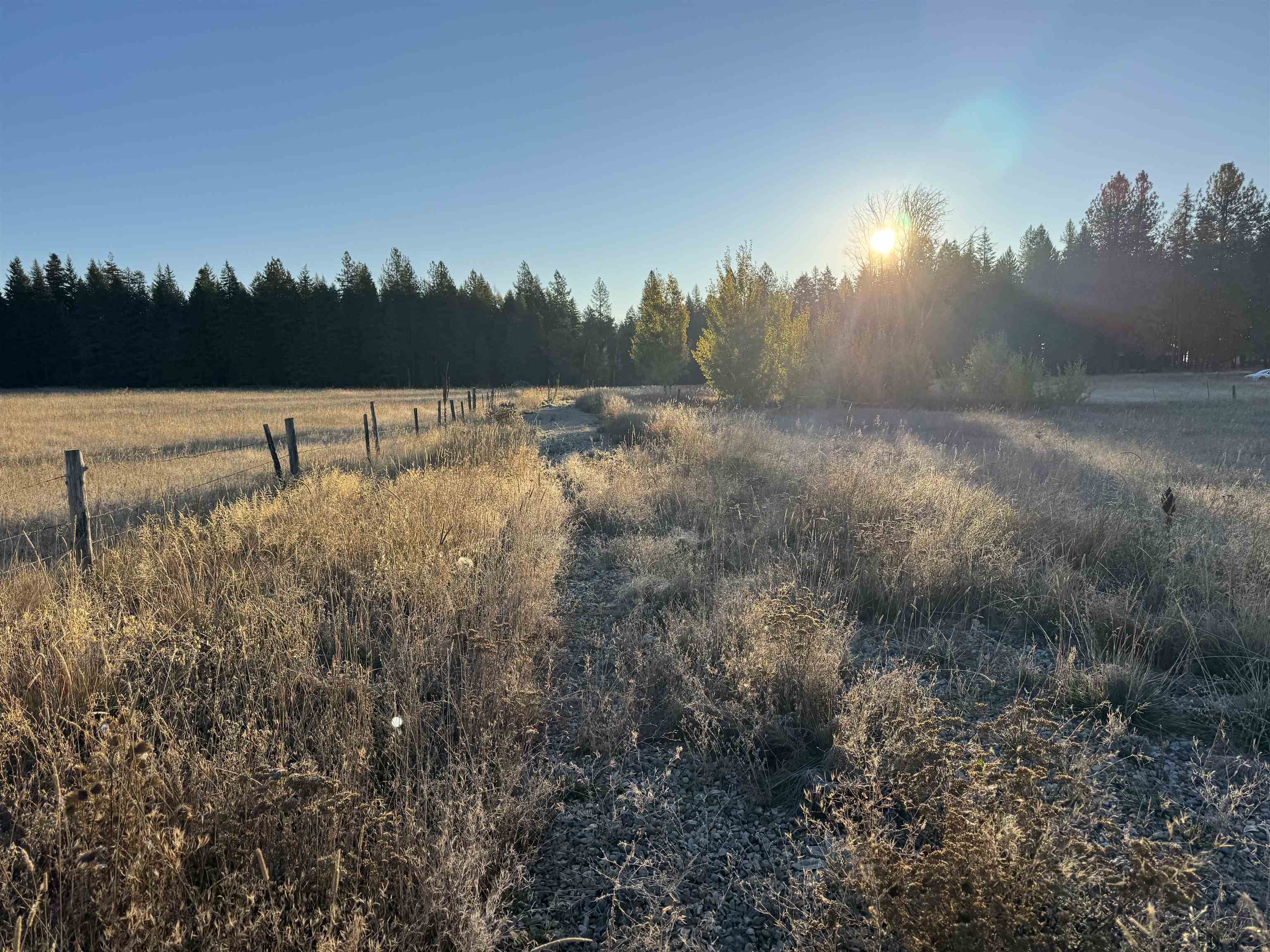 XX Mason Rd - Photo 1