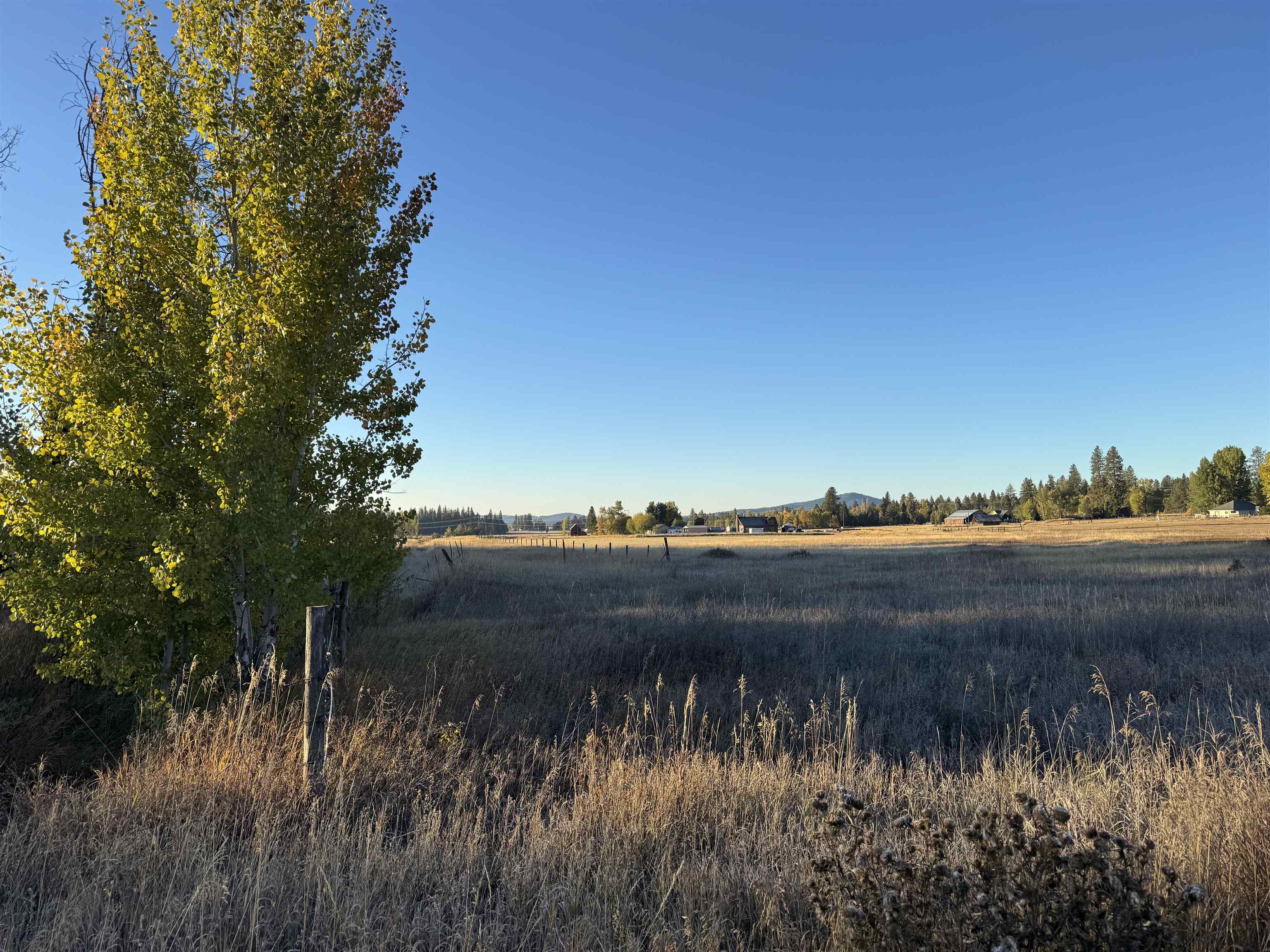 XX Mason Rd - Photo 2