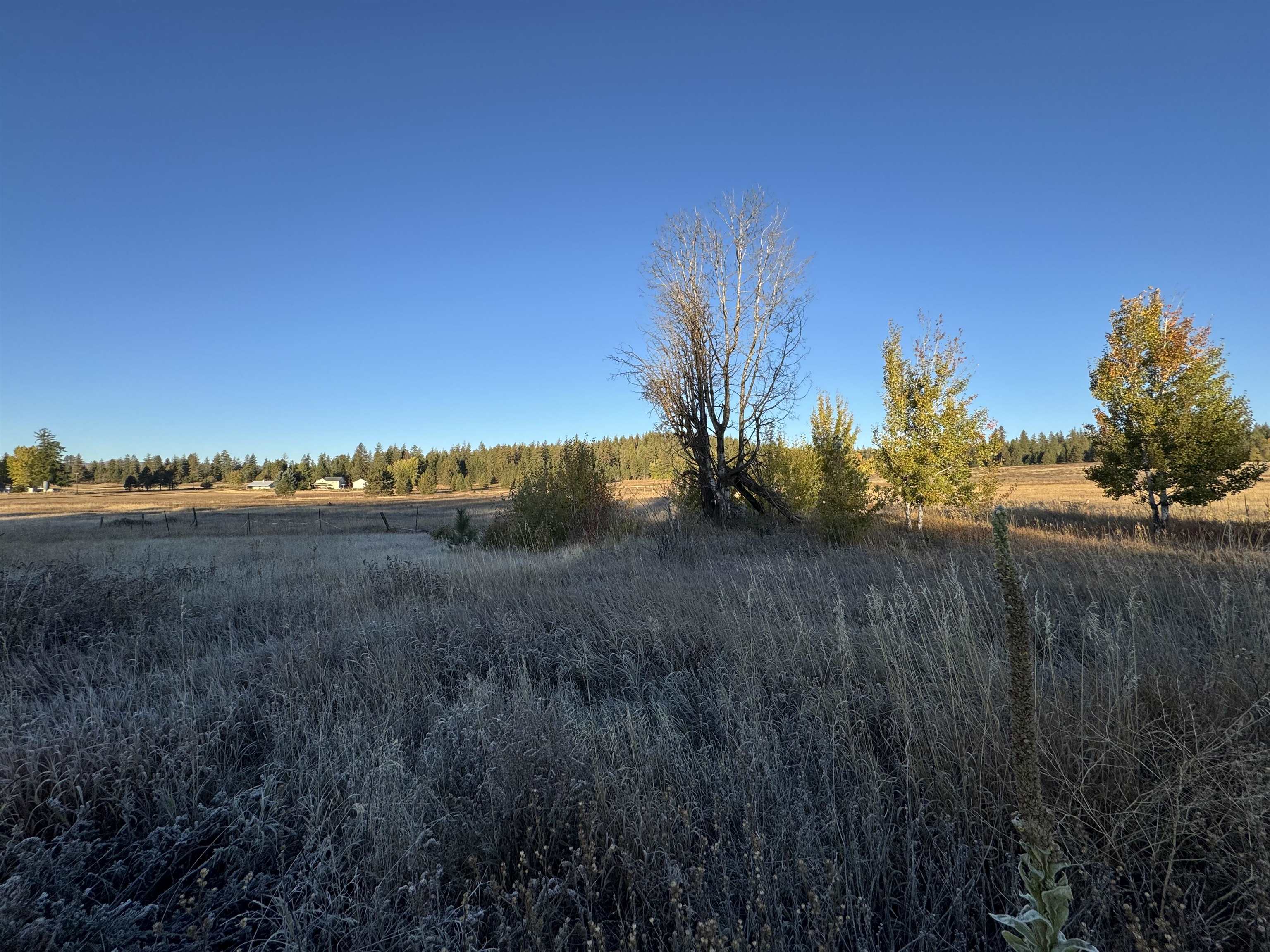 XX Mason Rd - Photo 6