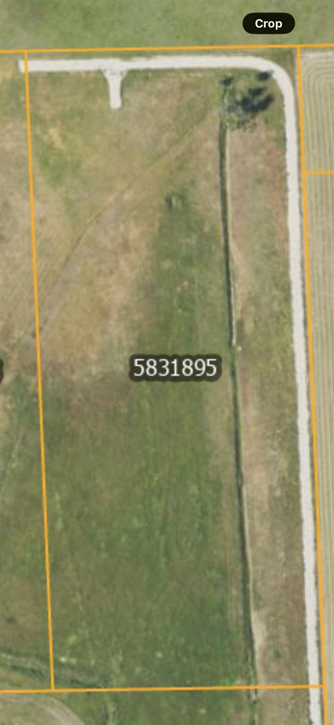 XX Mason Rd - Photo 7