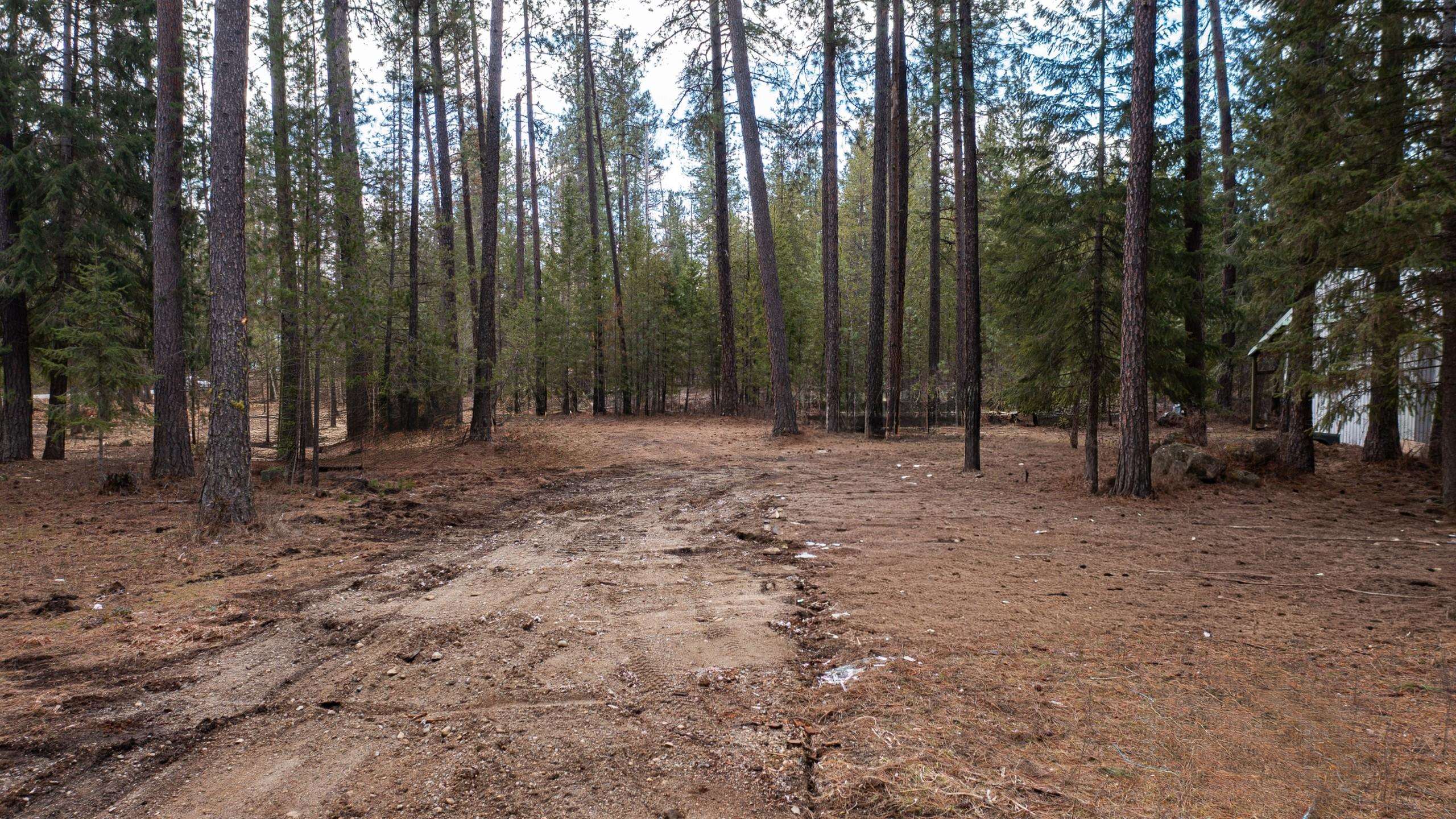 35311 N Findley Rd - Photo 7