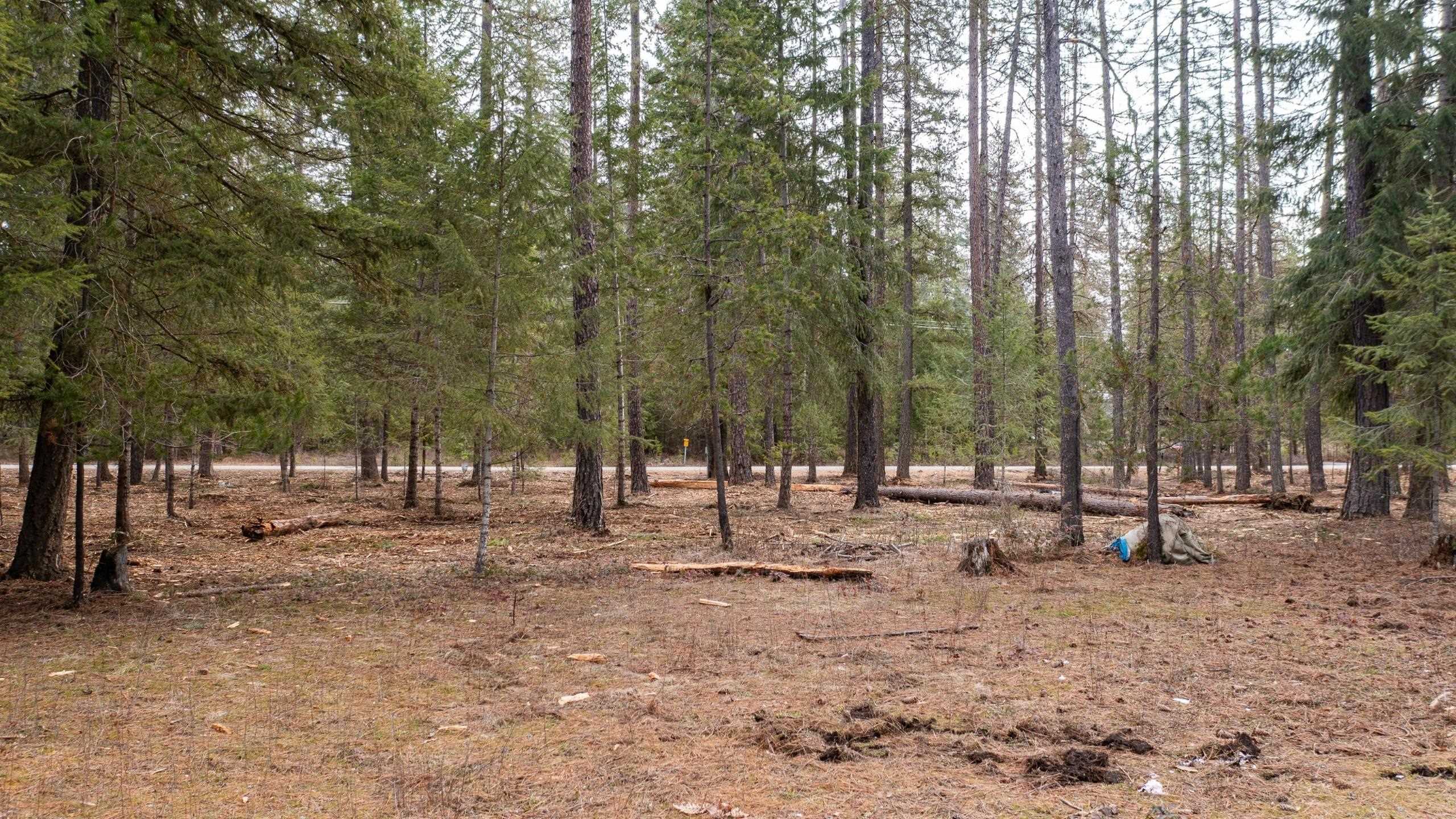 35311 N Findley Rd - Photo 9
