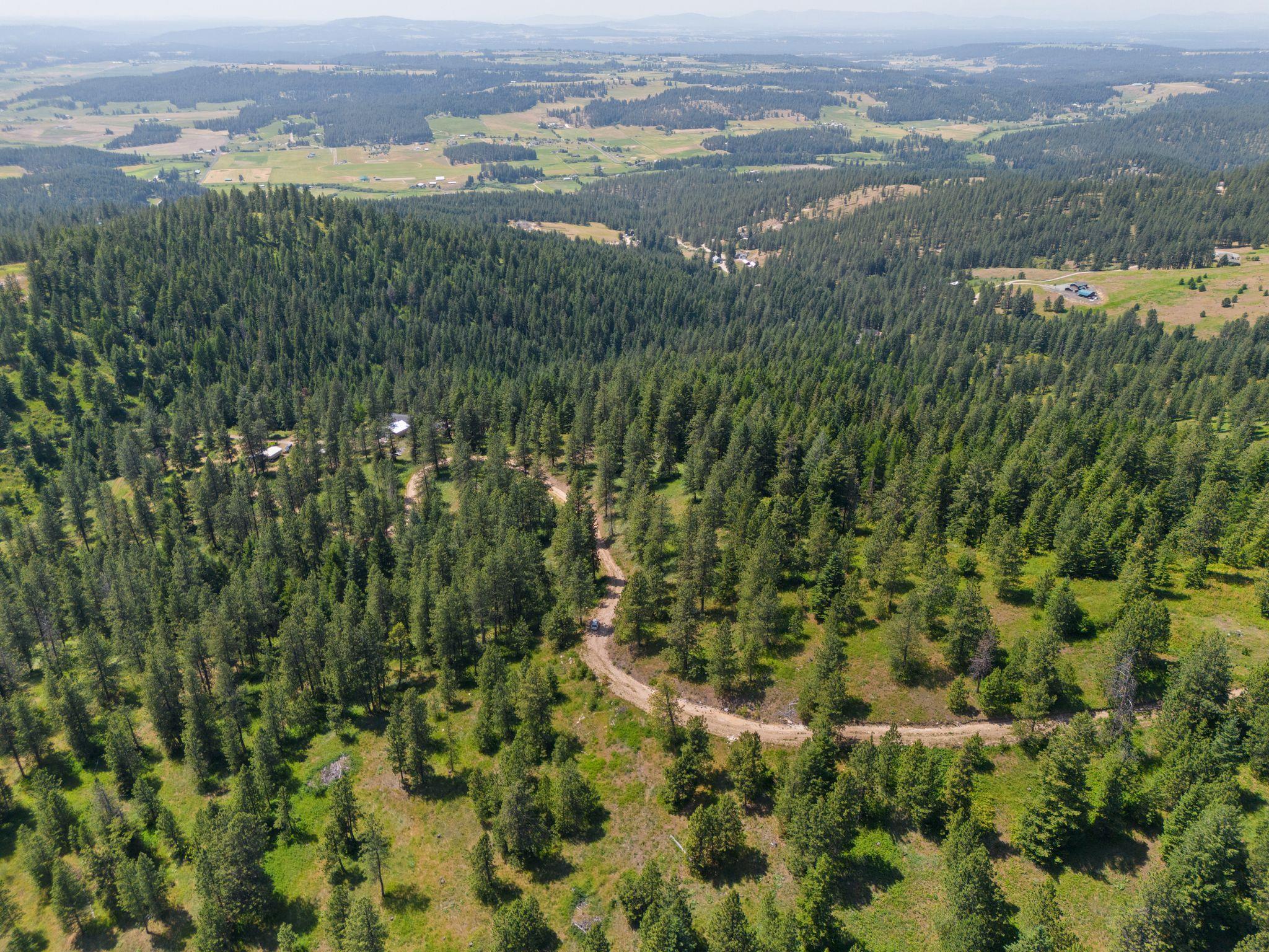 NNA Scribner Branch Rd - Photo 1