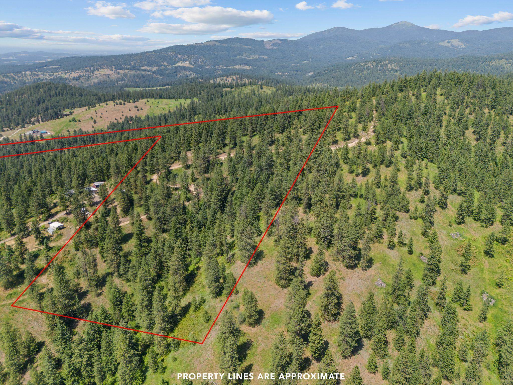 NNA Scribner Branch Rd - Photo 2