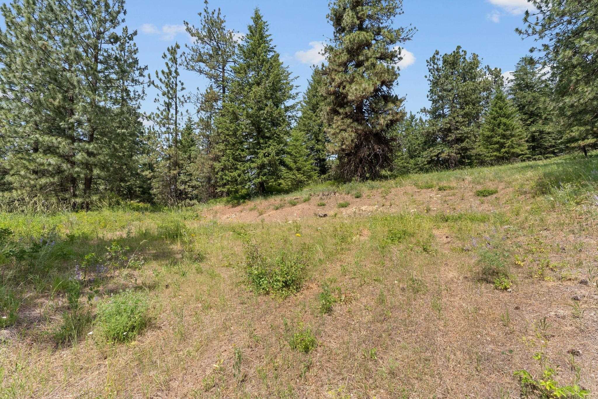 NNA Scribner Branch Rd - Photo 12