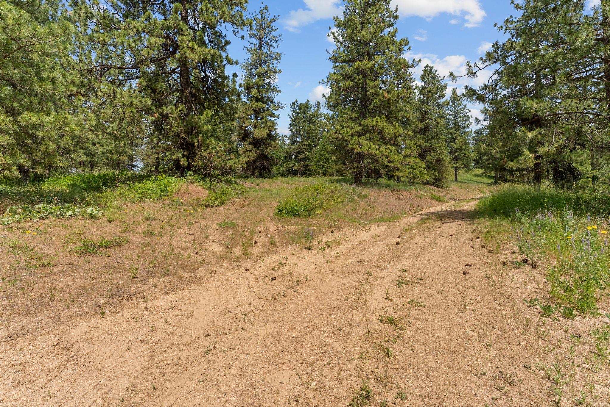 NNA Scribner Branch Rd - Photo 13