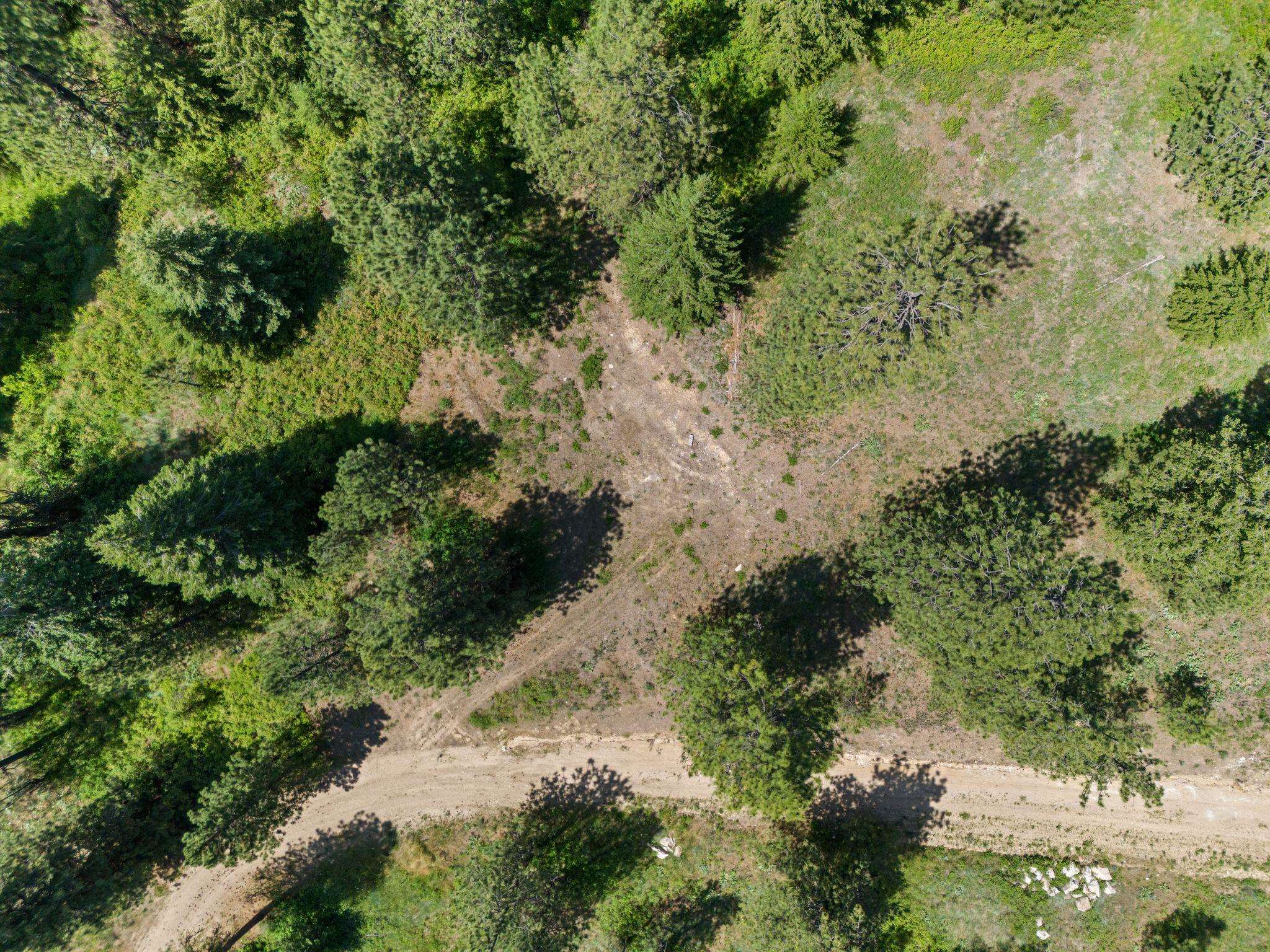 NNA Scribner Branch Rd - Photo 14