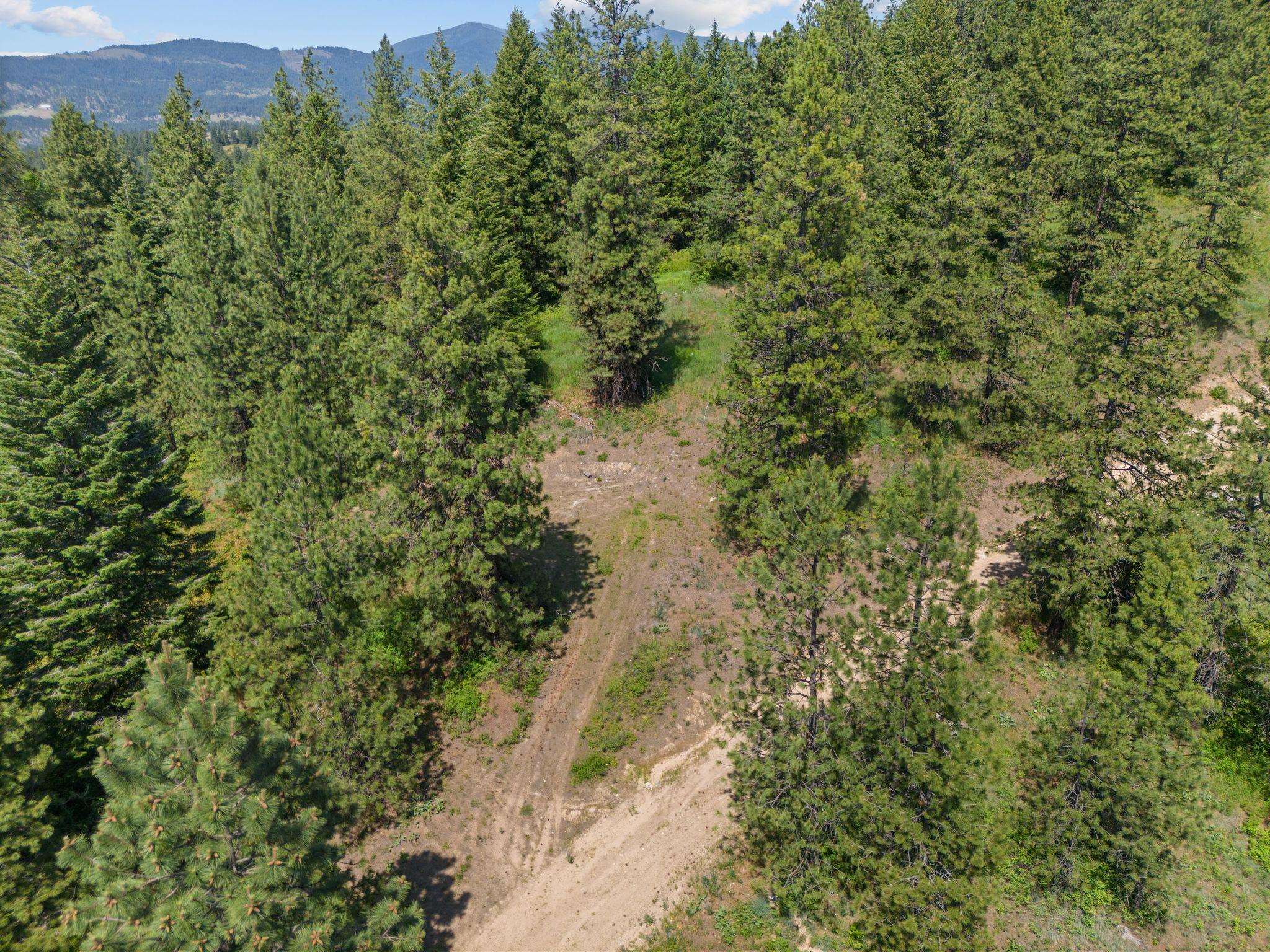 NNA Scribner Branch Rd - Photo 15