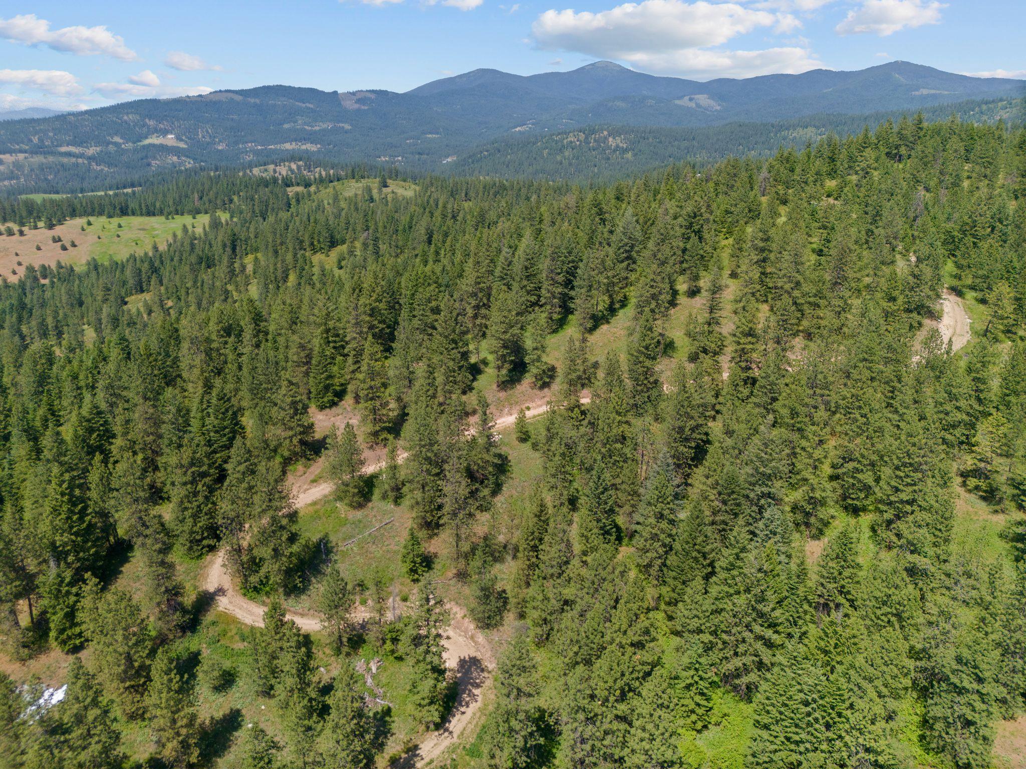 NNA Scribner Branch Rd - Photo 16