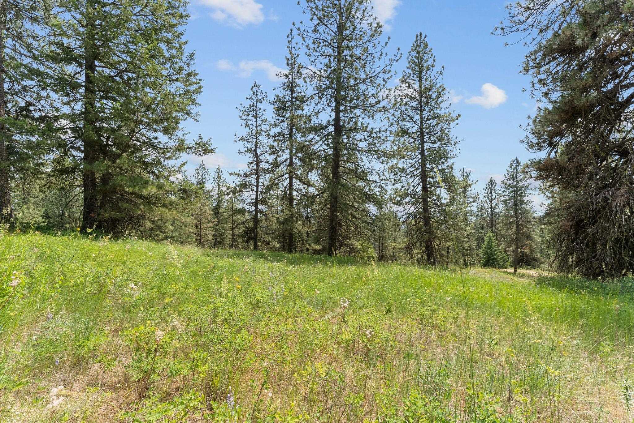 NNA Scribner Branch Rd - Photo 19