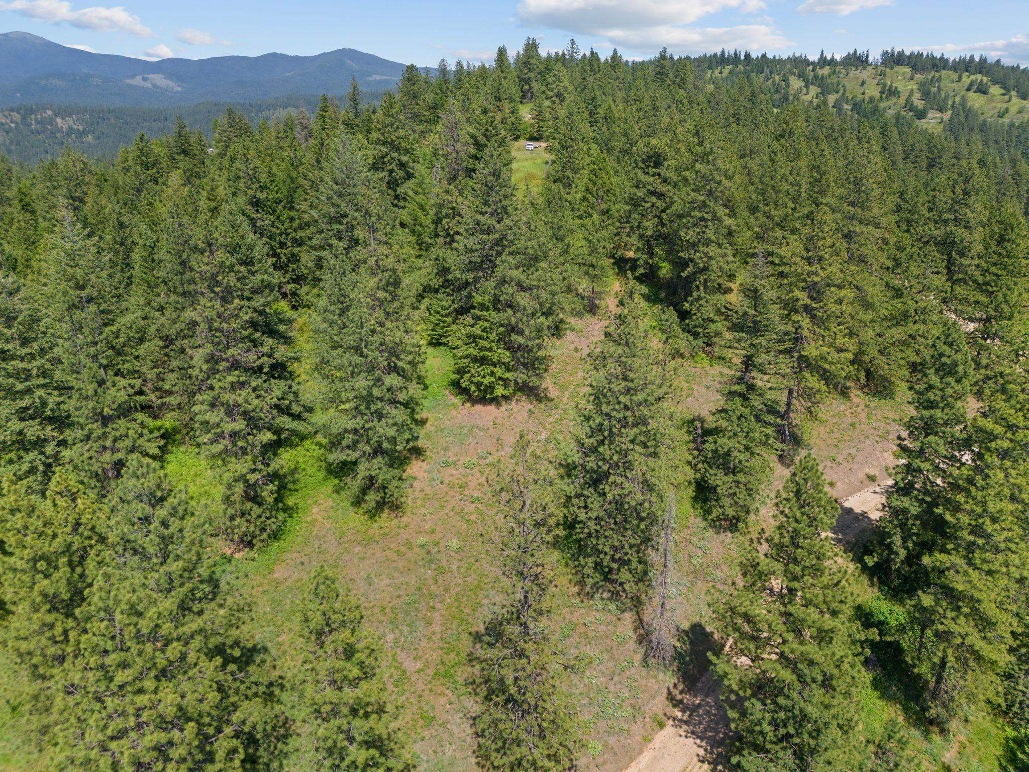 NNA Scribner Branch Rd - Photo 20