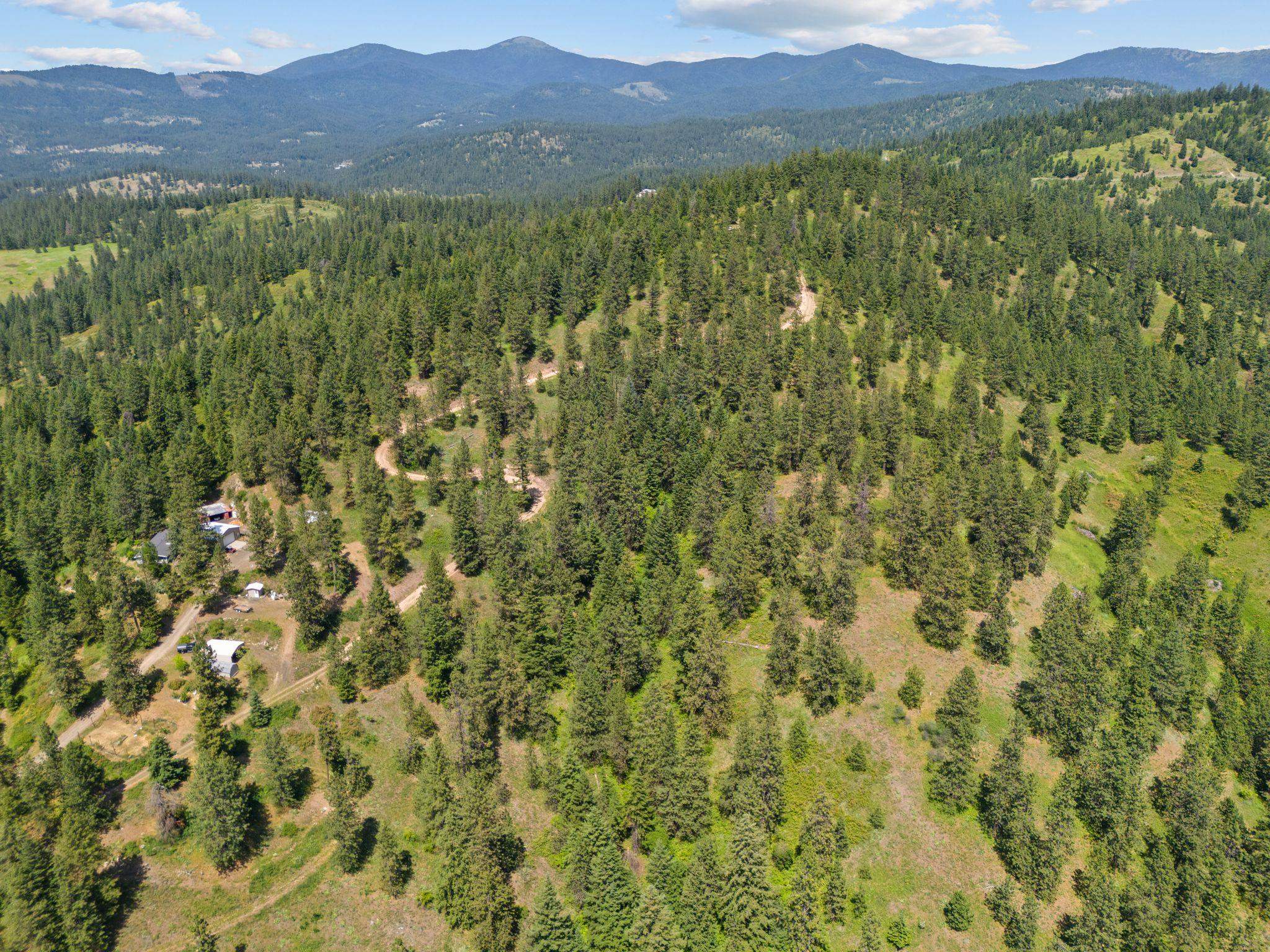 NNA Scribner Branch Rd - Photo 4