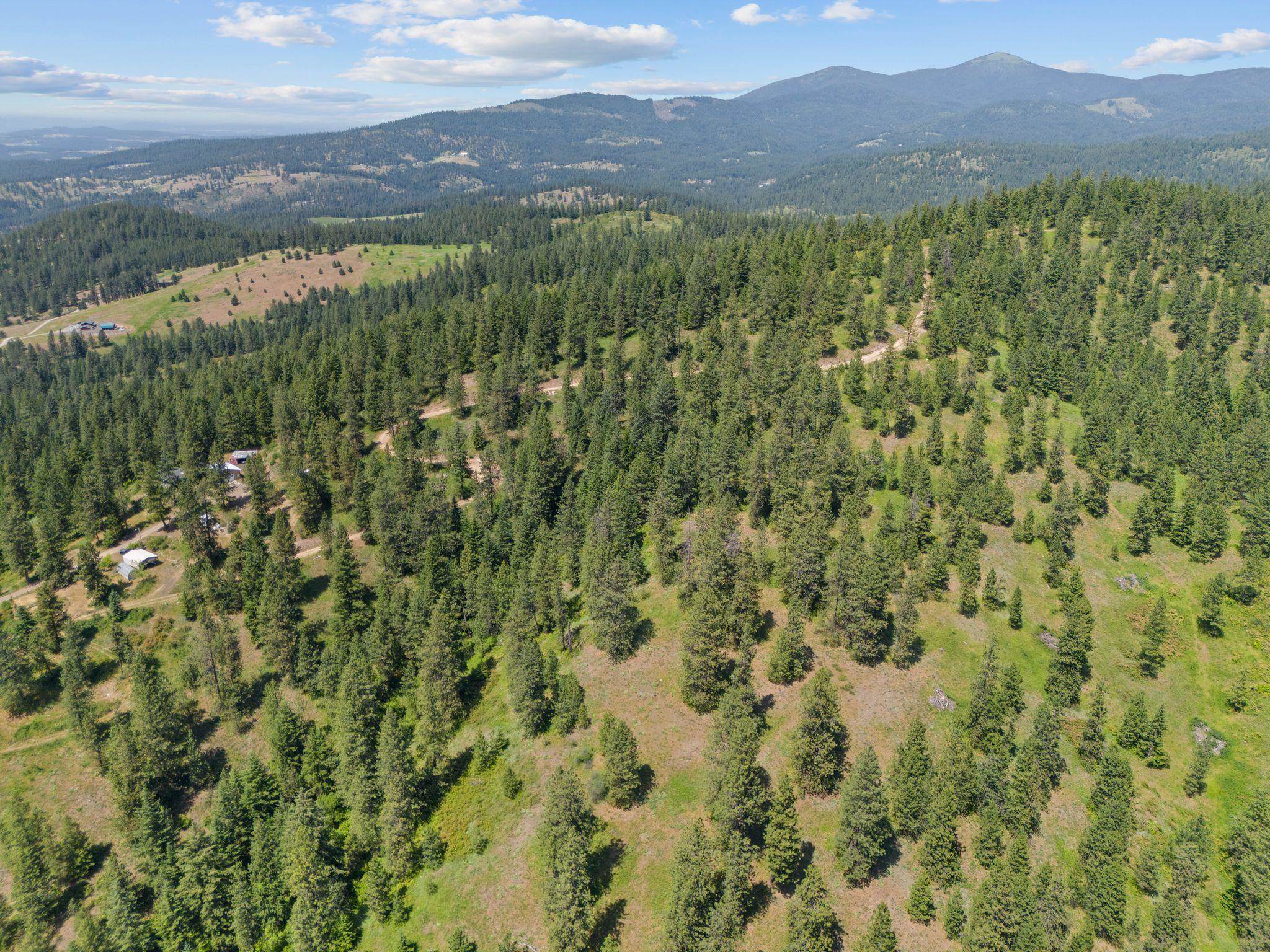 NNA Scribner Branch Rd - Photo 5