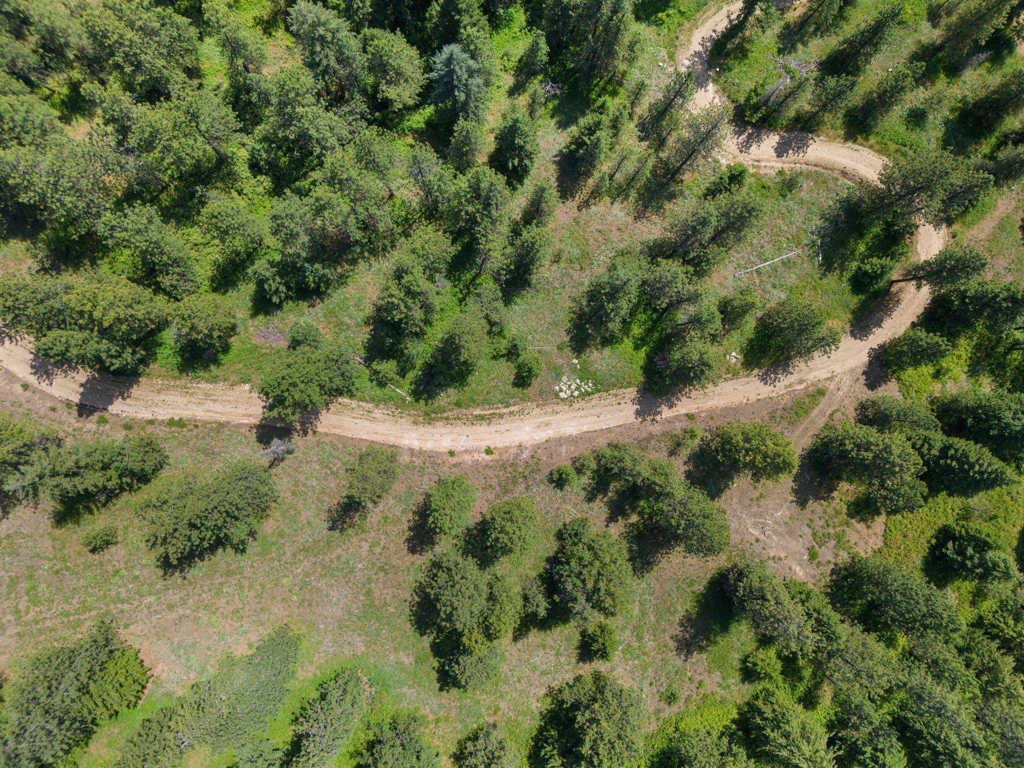 NNA Scribner Branch Rd - Photo 9