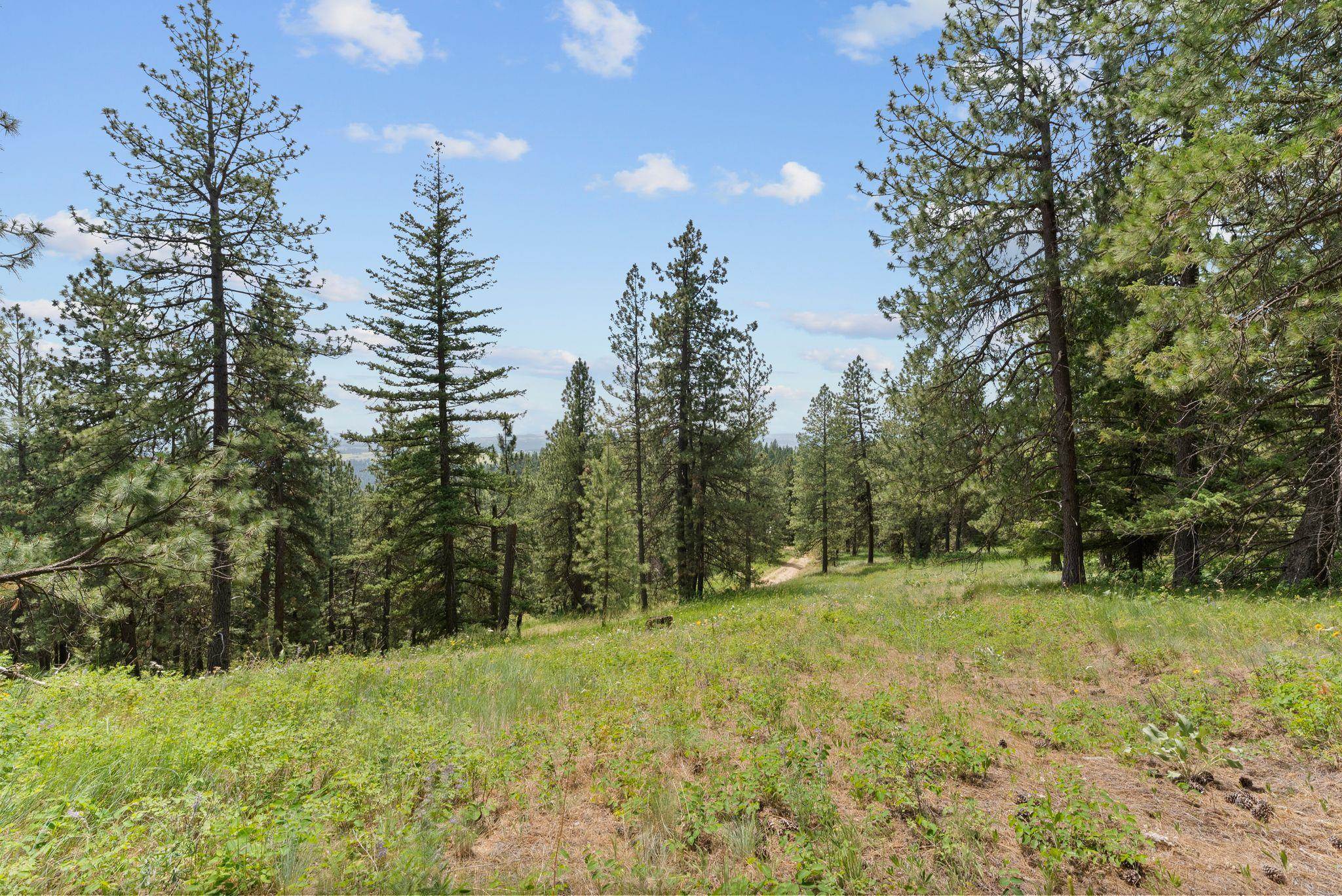 NNA Scribner Branch Rd - Photo 10