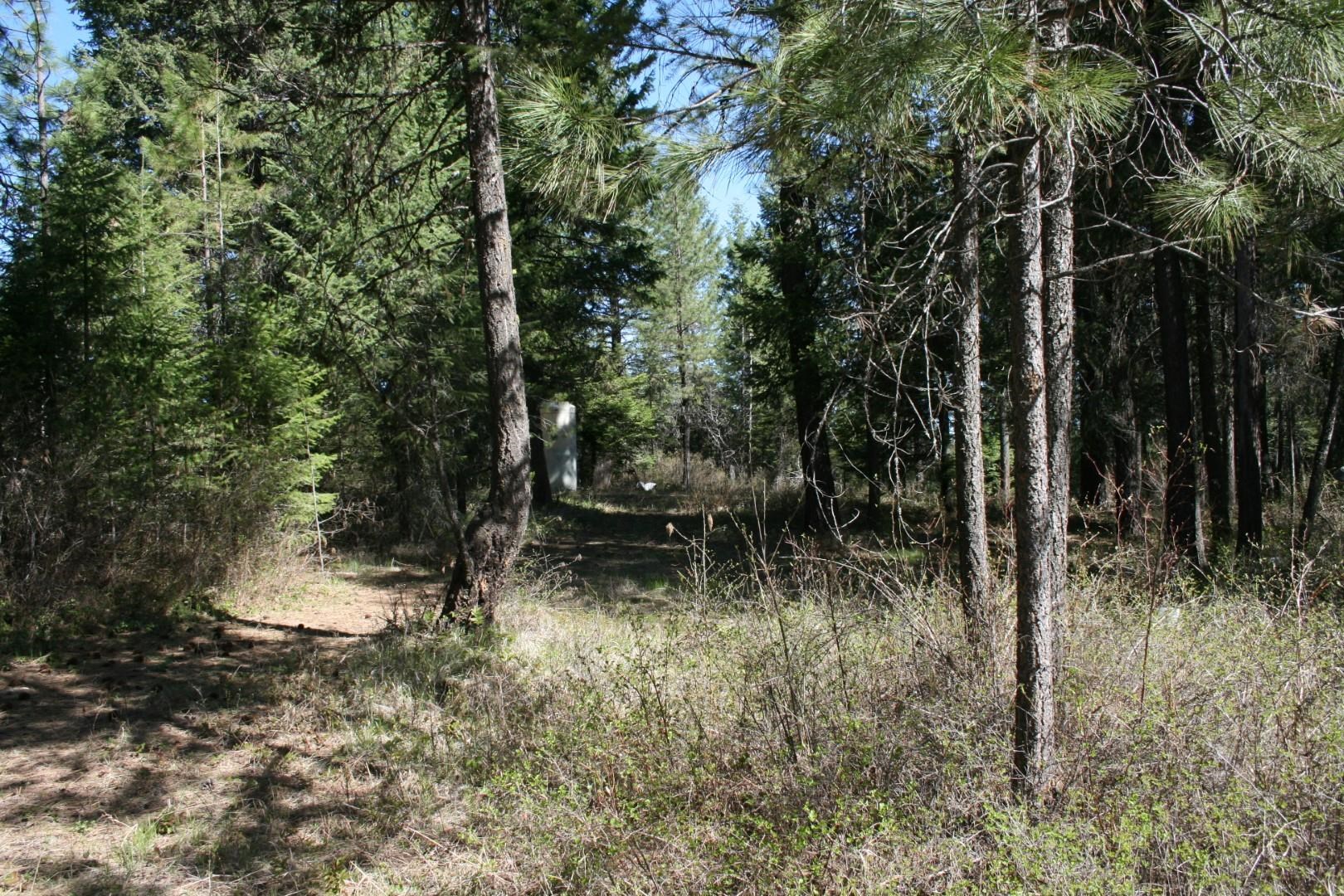 XX Bowler Rd - Photo 14