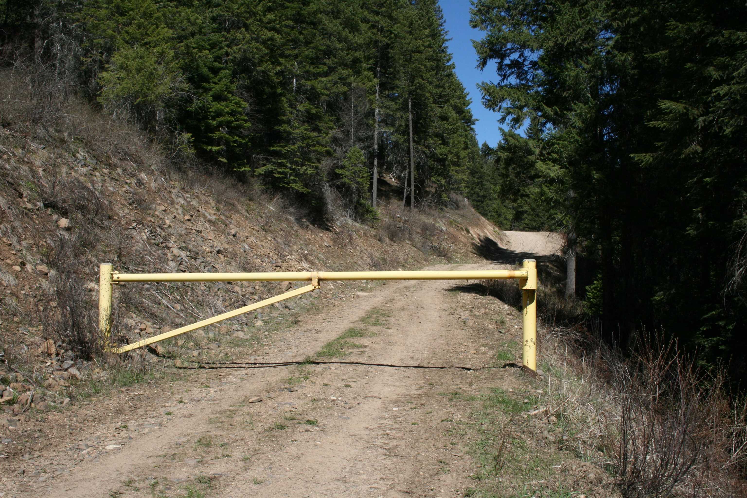XX Bowler Rd - Photo 6