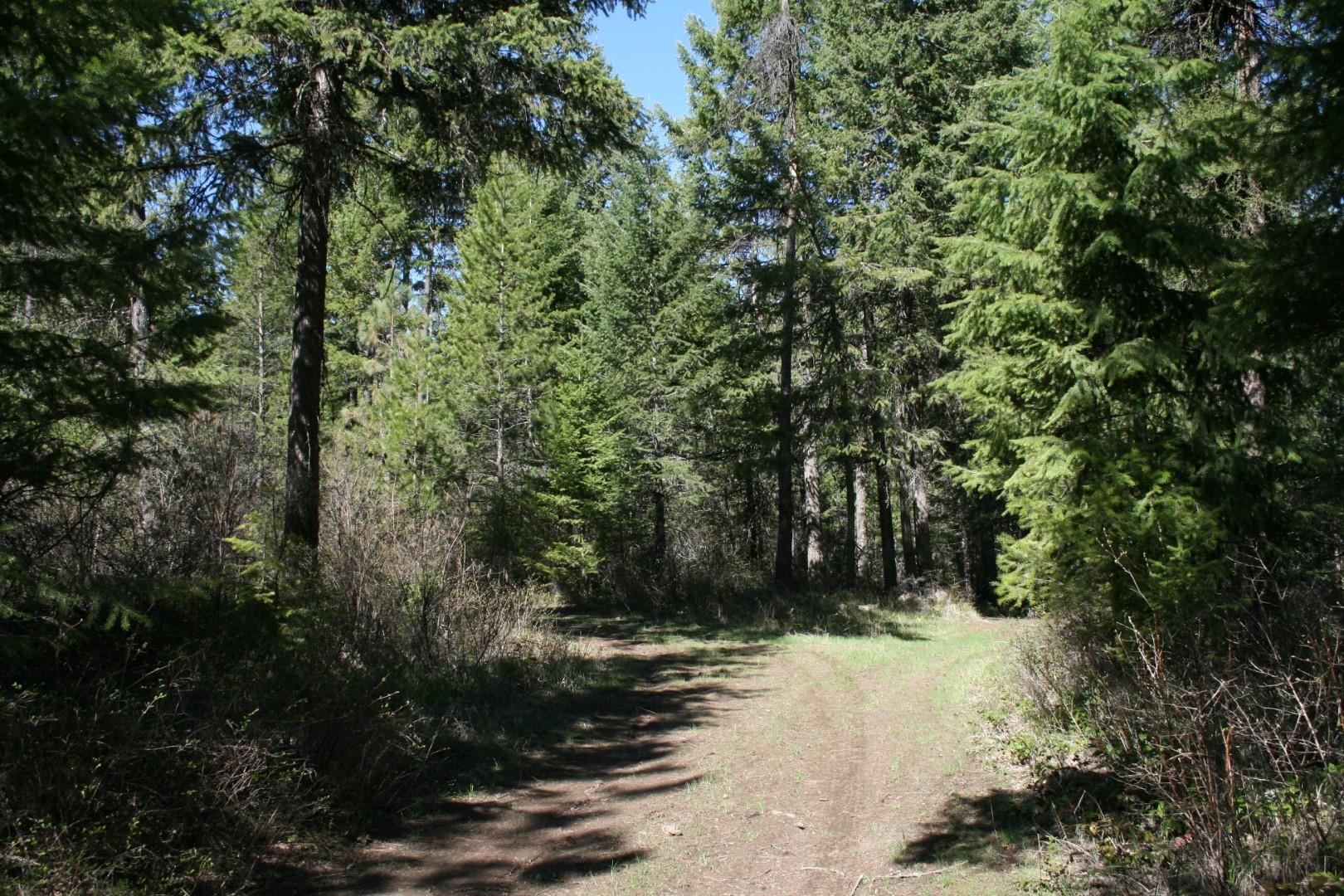 XX Bowler Rd - Photo 9