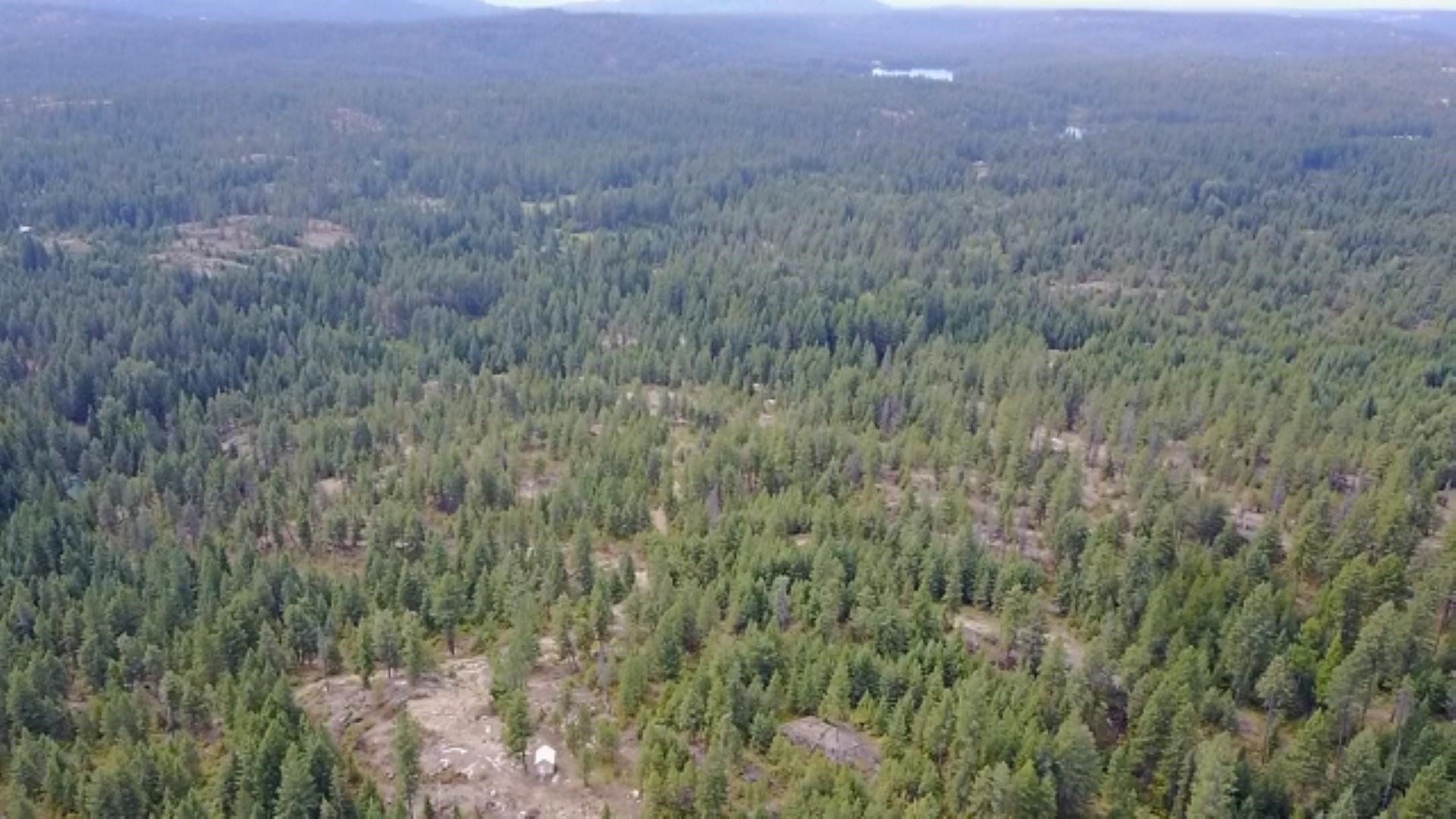 432 Quartz Rd - Photo 11