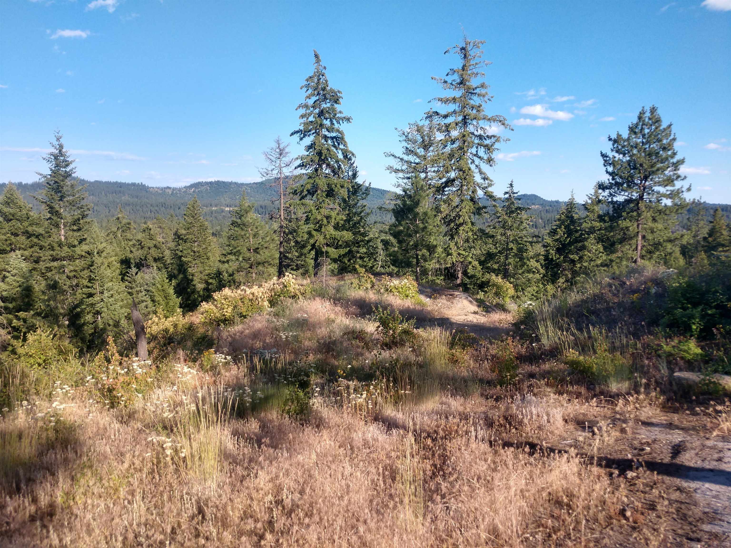 432 Quartz Rd - Photo 16