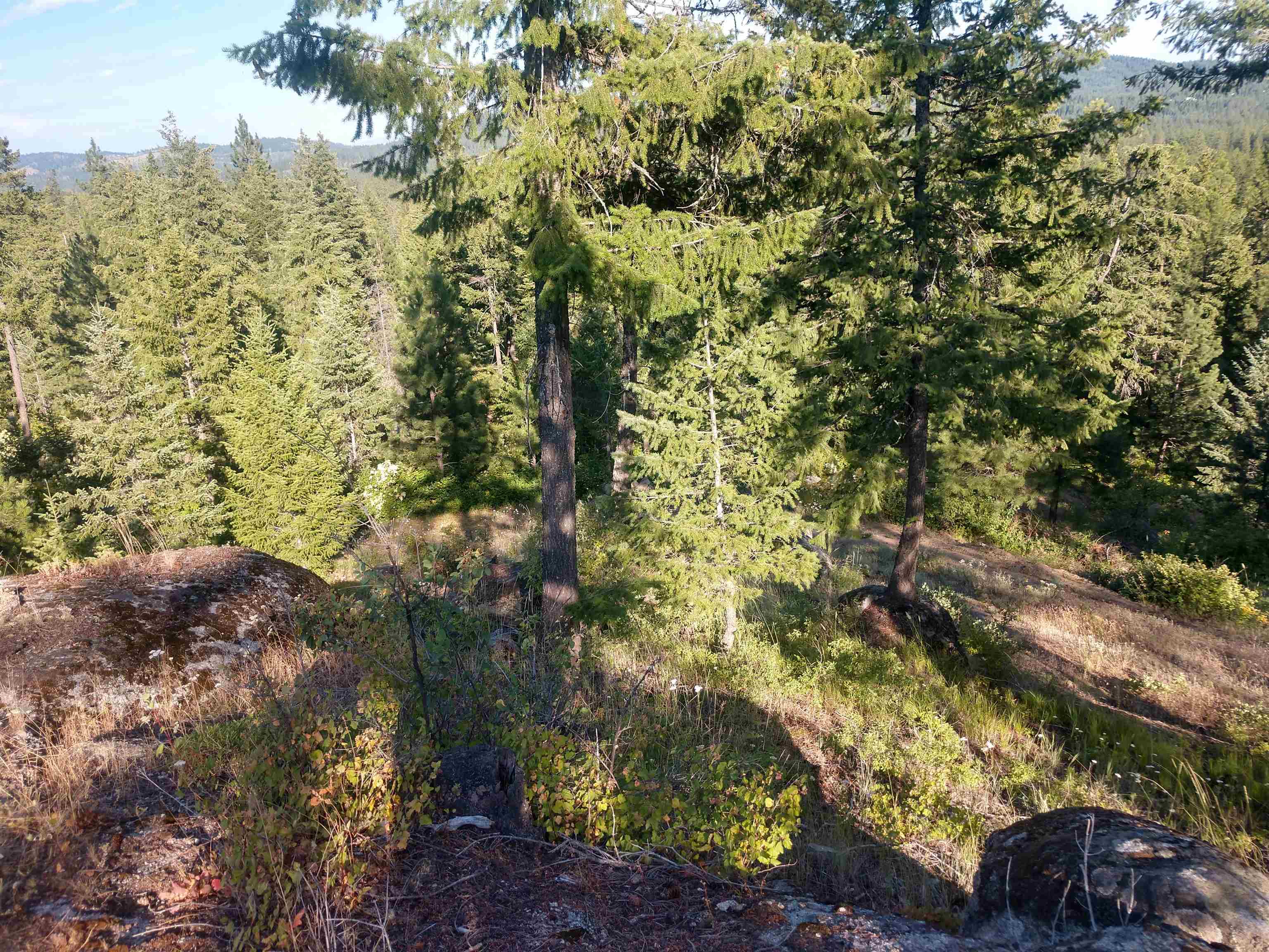 432 Quartz Rd - Photo 17