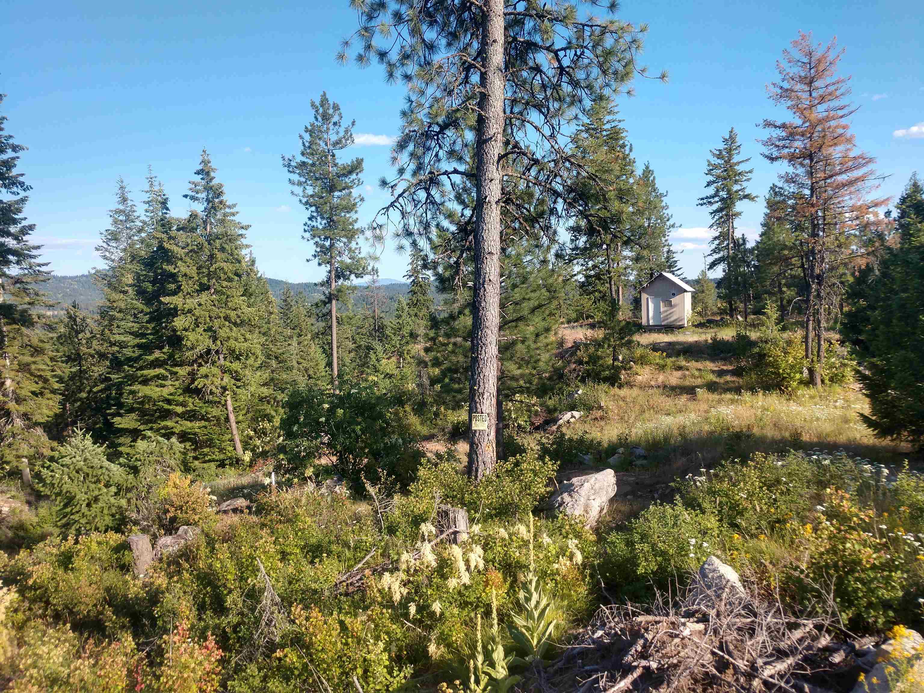 432 Quartz Rd - Photo 18