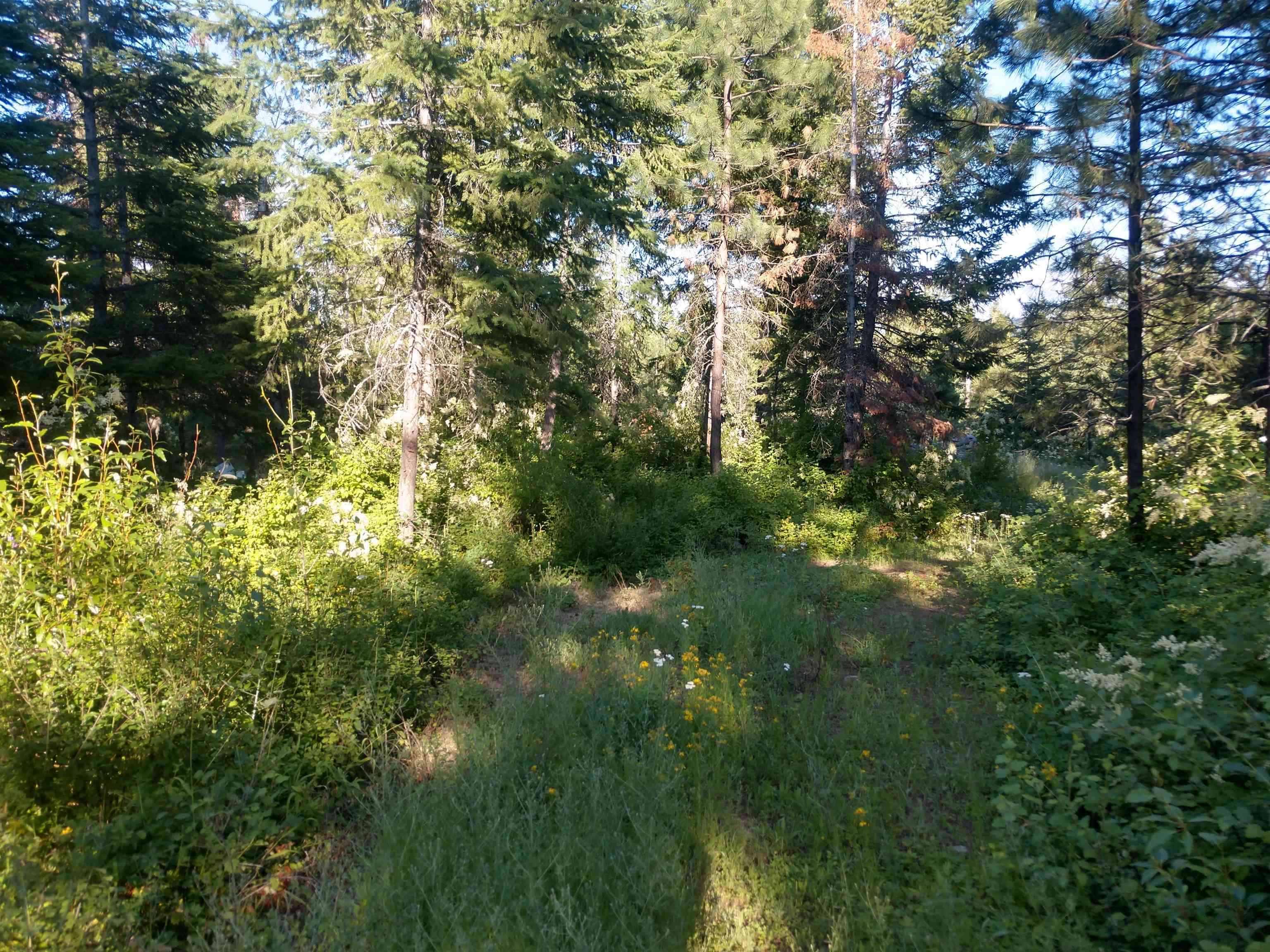 432 Quartz Rd - Photo 19