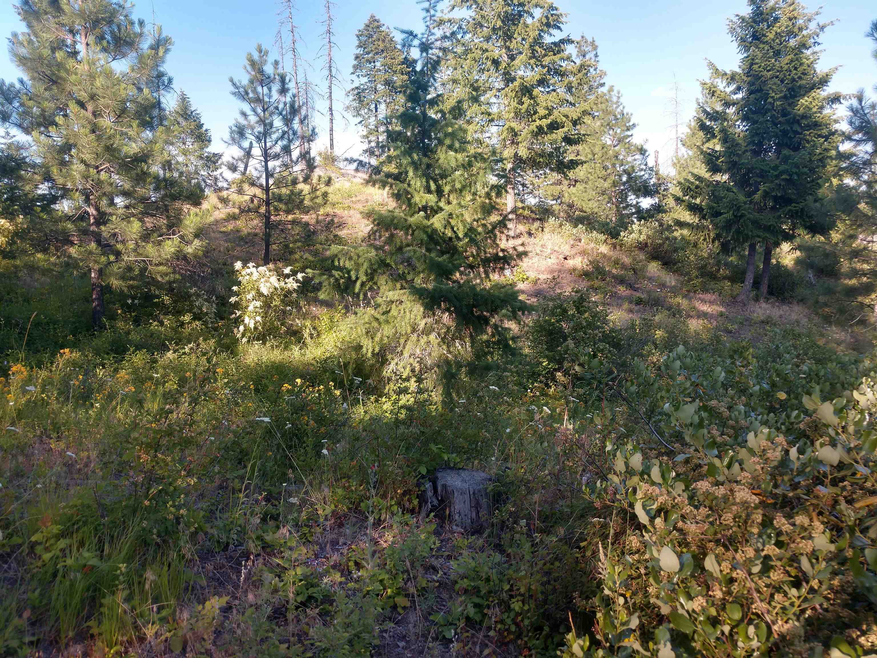 432 Quartz Rd - Photo 24