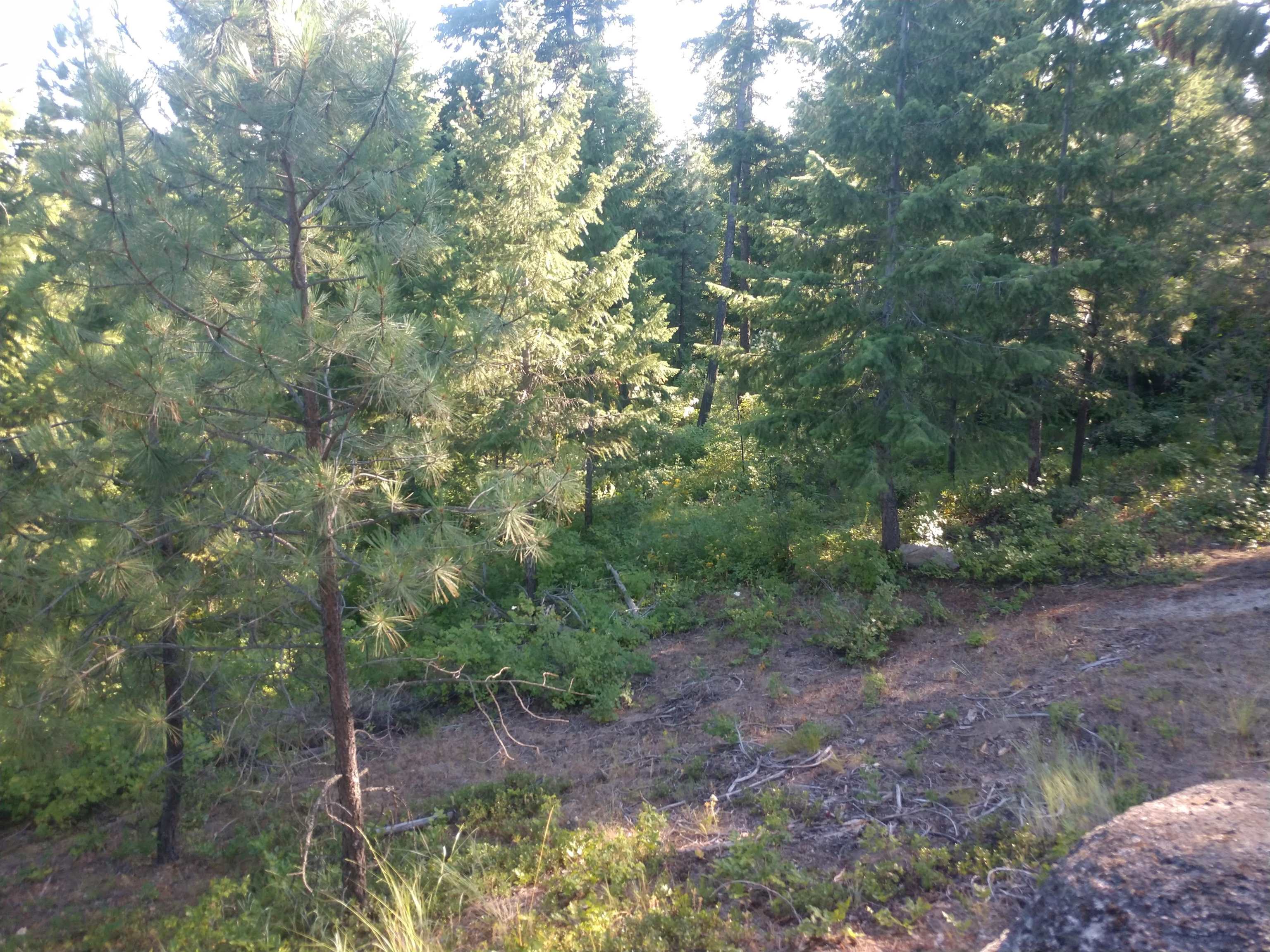 432 Quartz Rd - Photo 26
