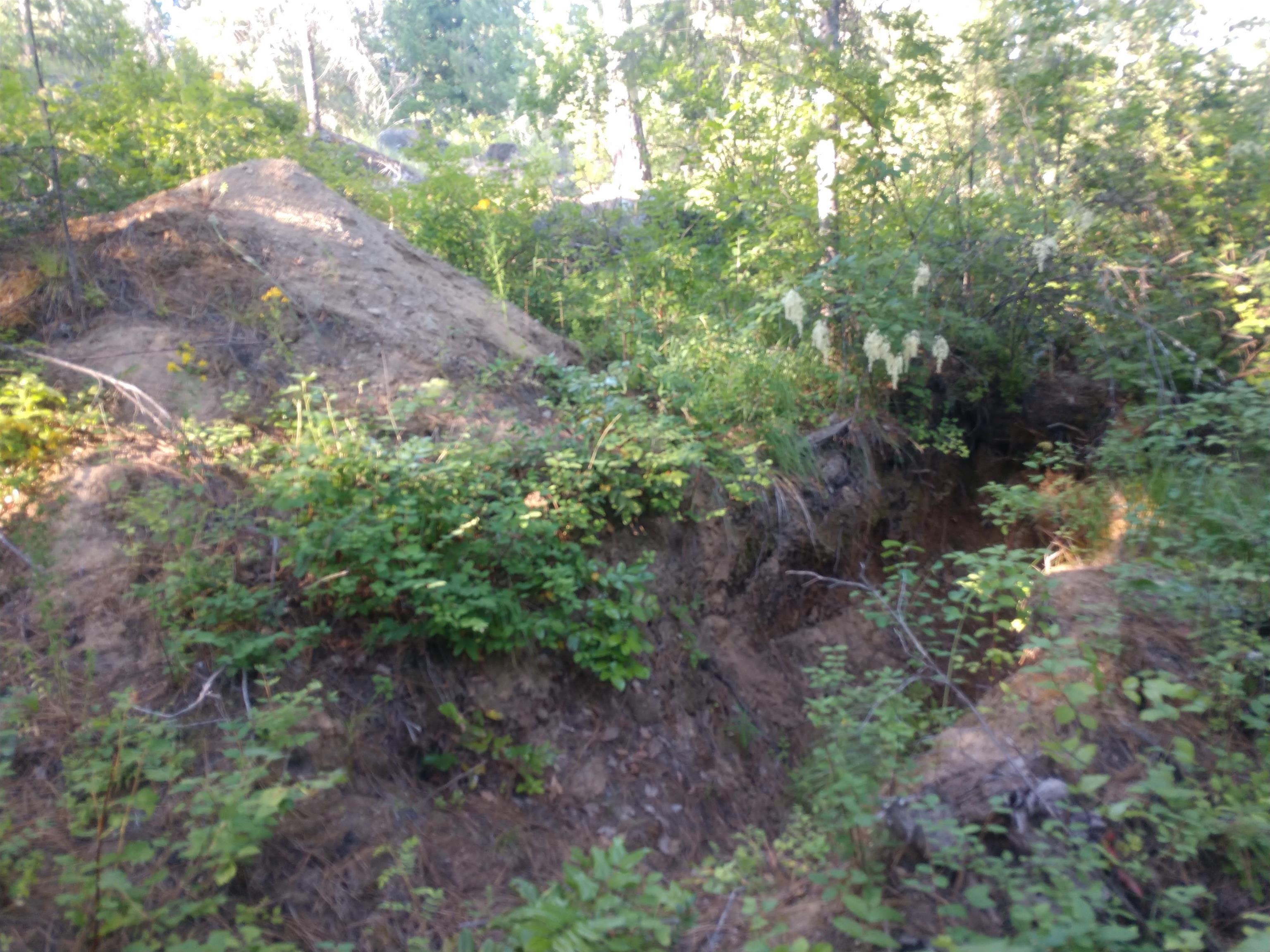 432 Quartz Rd - Photo 28