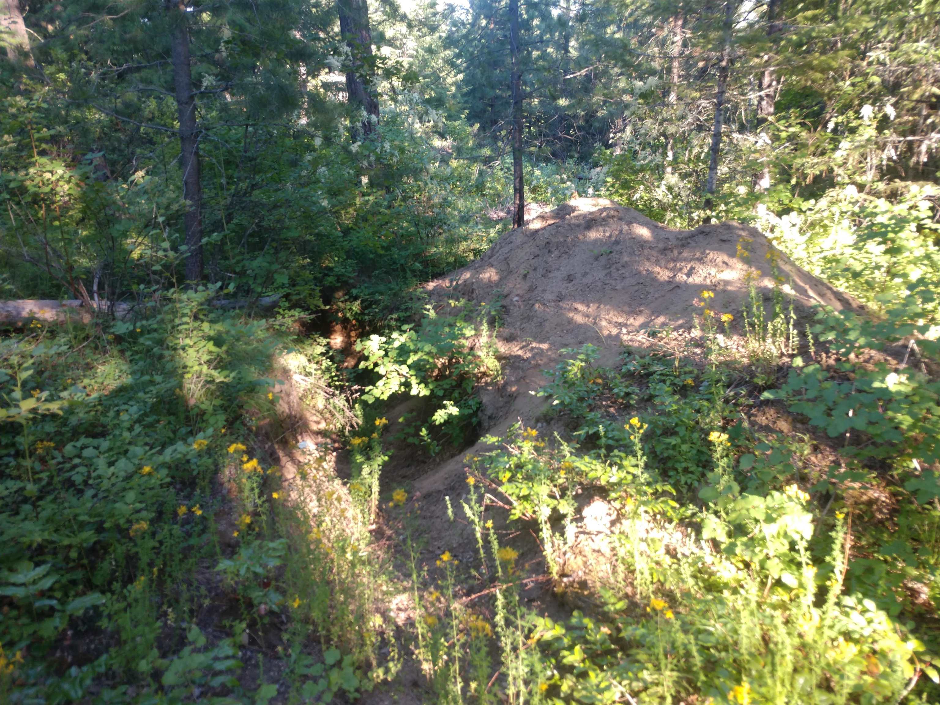 432 Quartz Rd - Photo 29