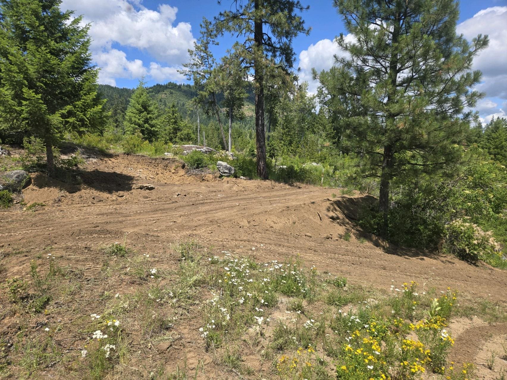432 Quartz Rd - Photo 30
