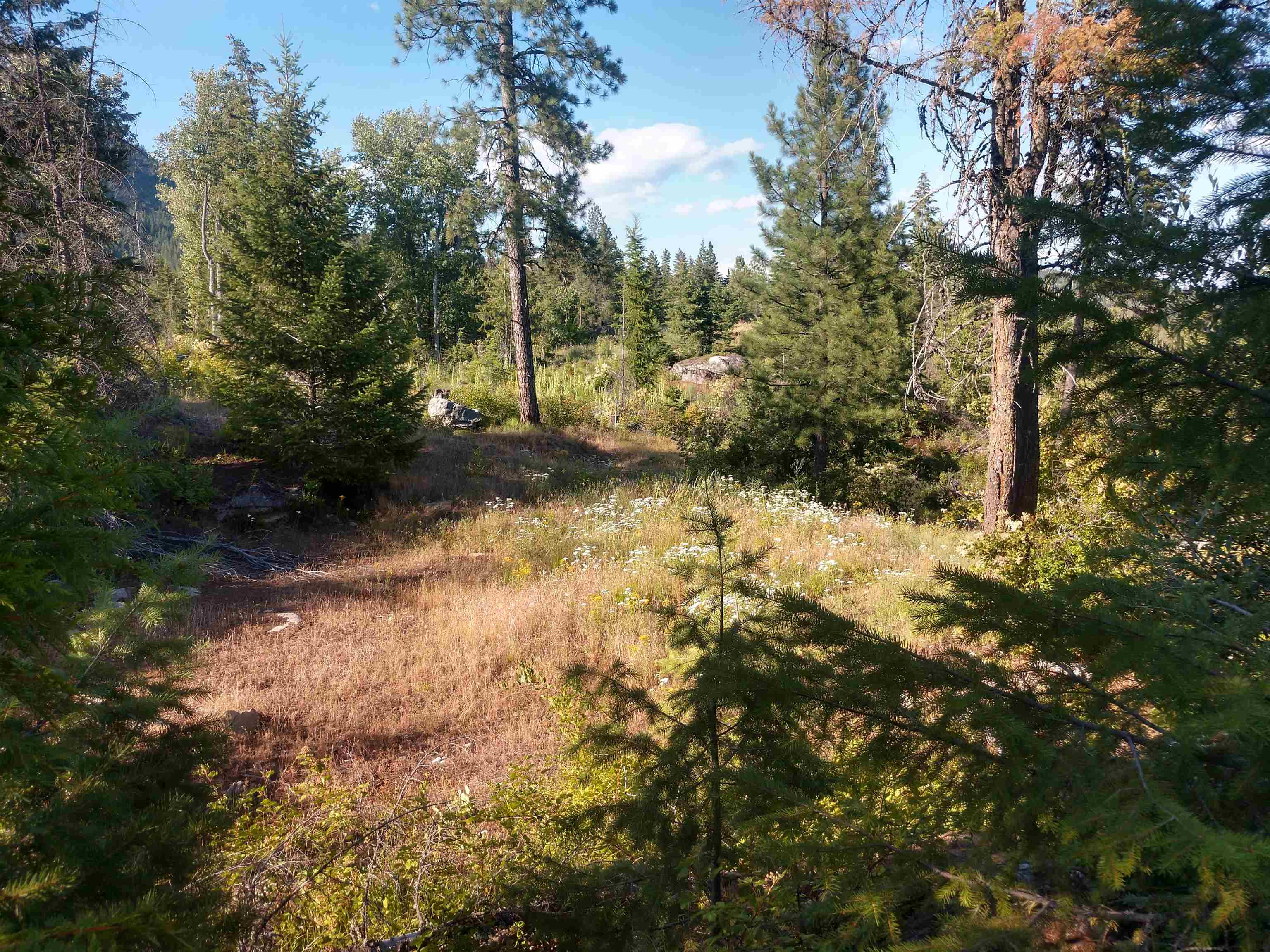 432 Quartz Rd - Photo 4