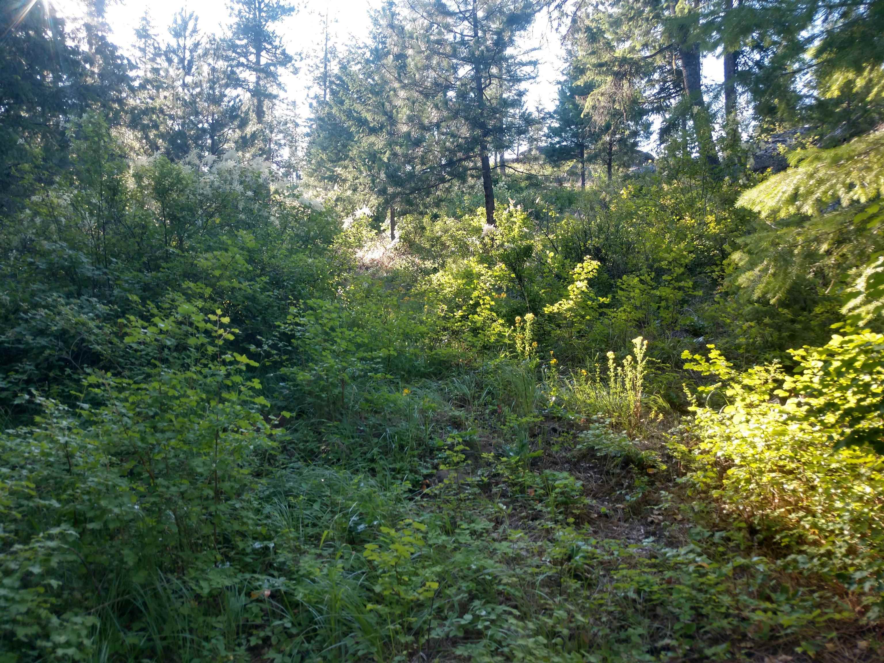 432 Quartz Rd - Photo 38