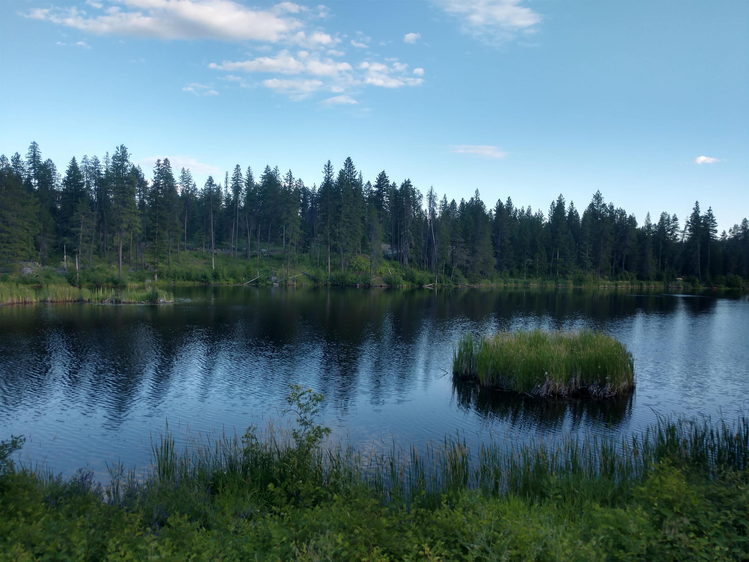 432 Quartz Rd - Photo 39