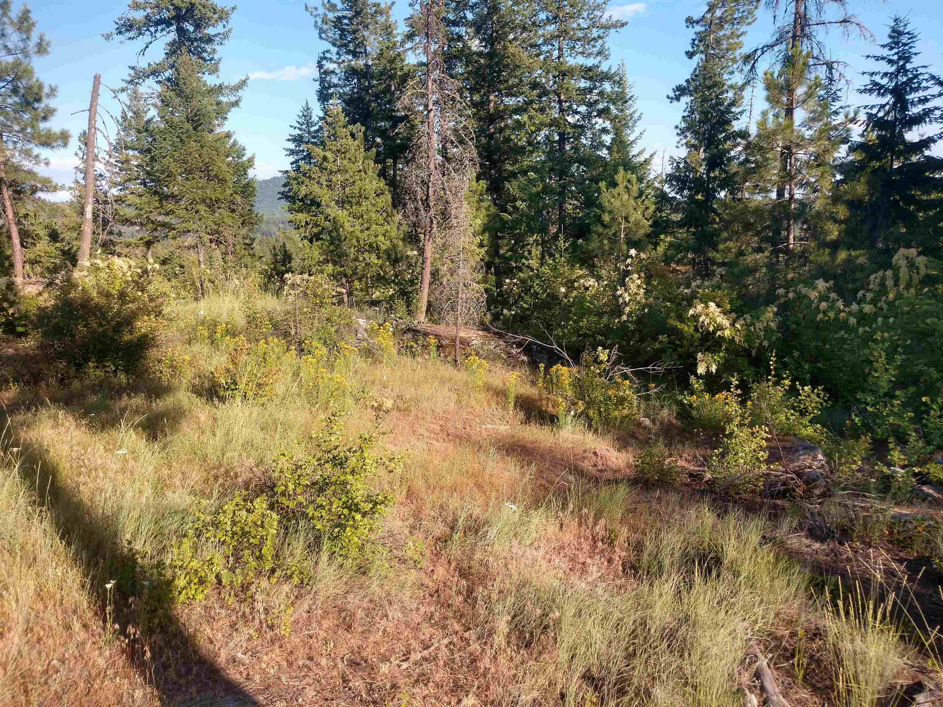 432 Quartz Rd - Photo 40