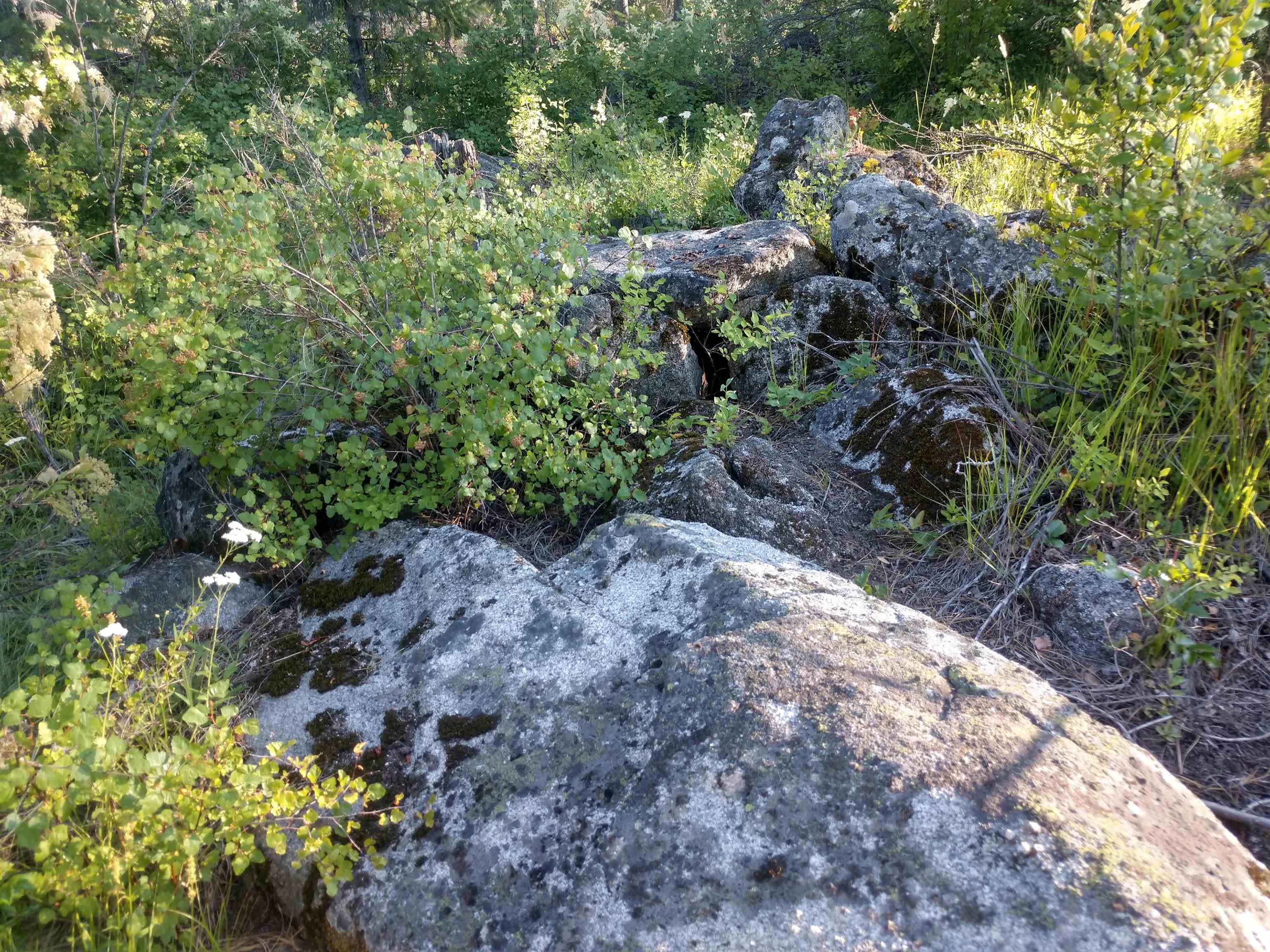 432 Quartz Rd - Photo 41
