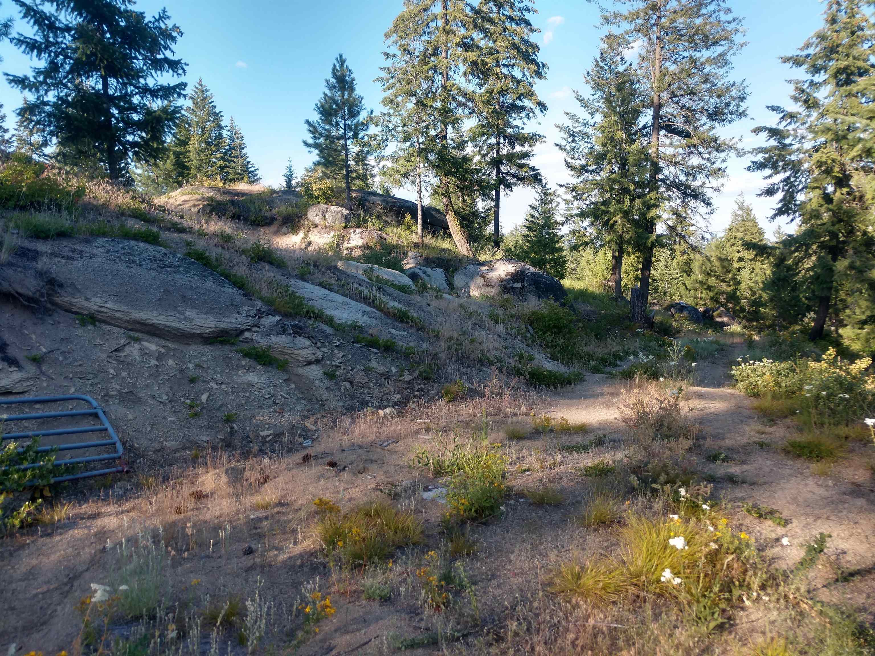 432 Quartz Rd - Photo 43