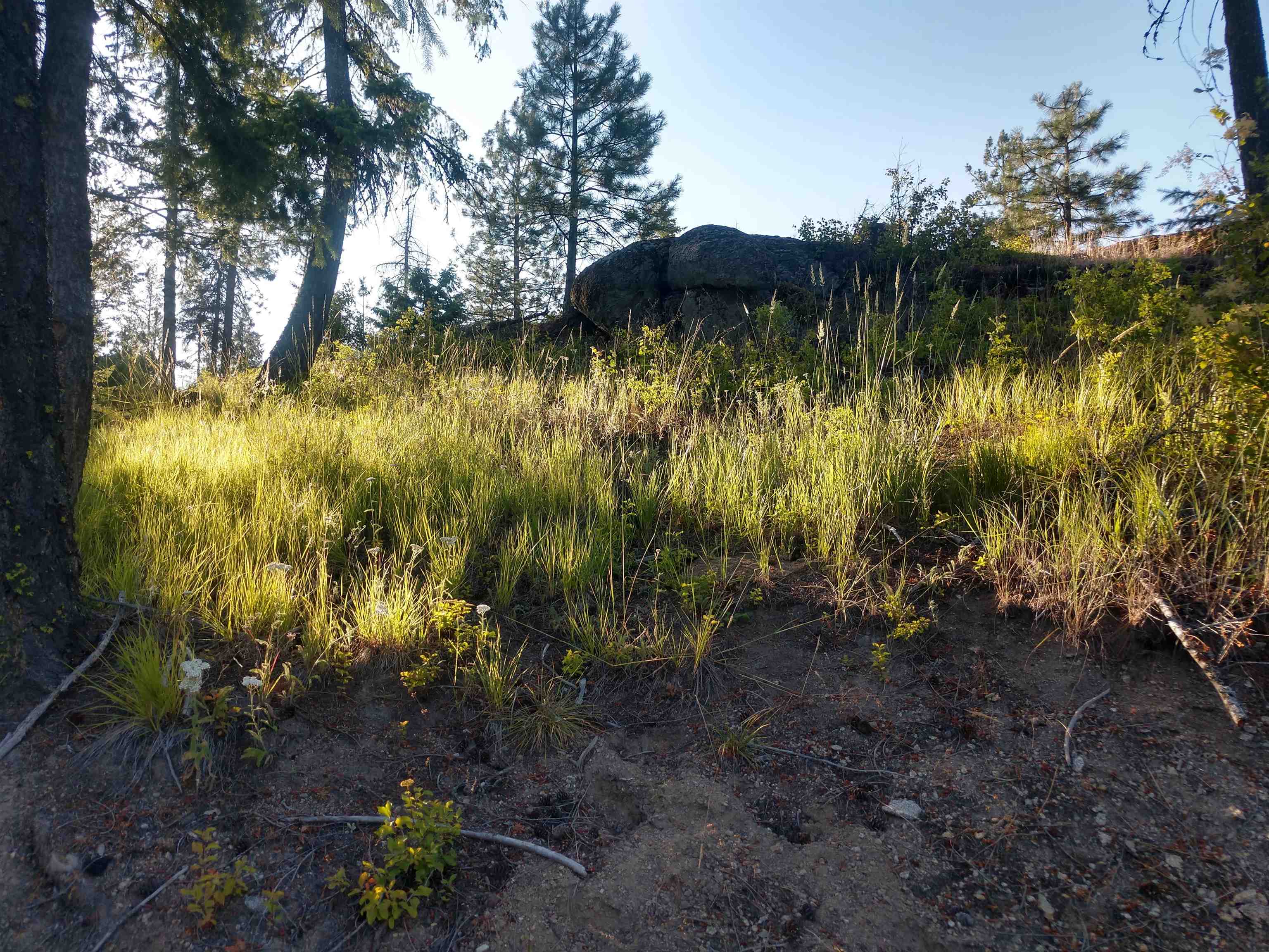 432 Quartz Rd - Photo 44