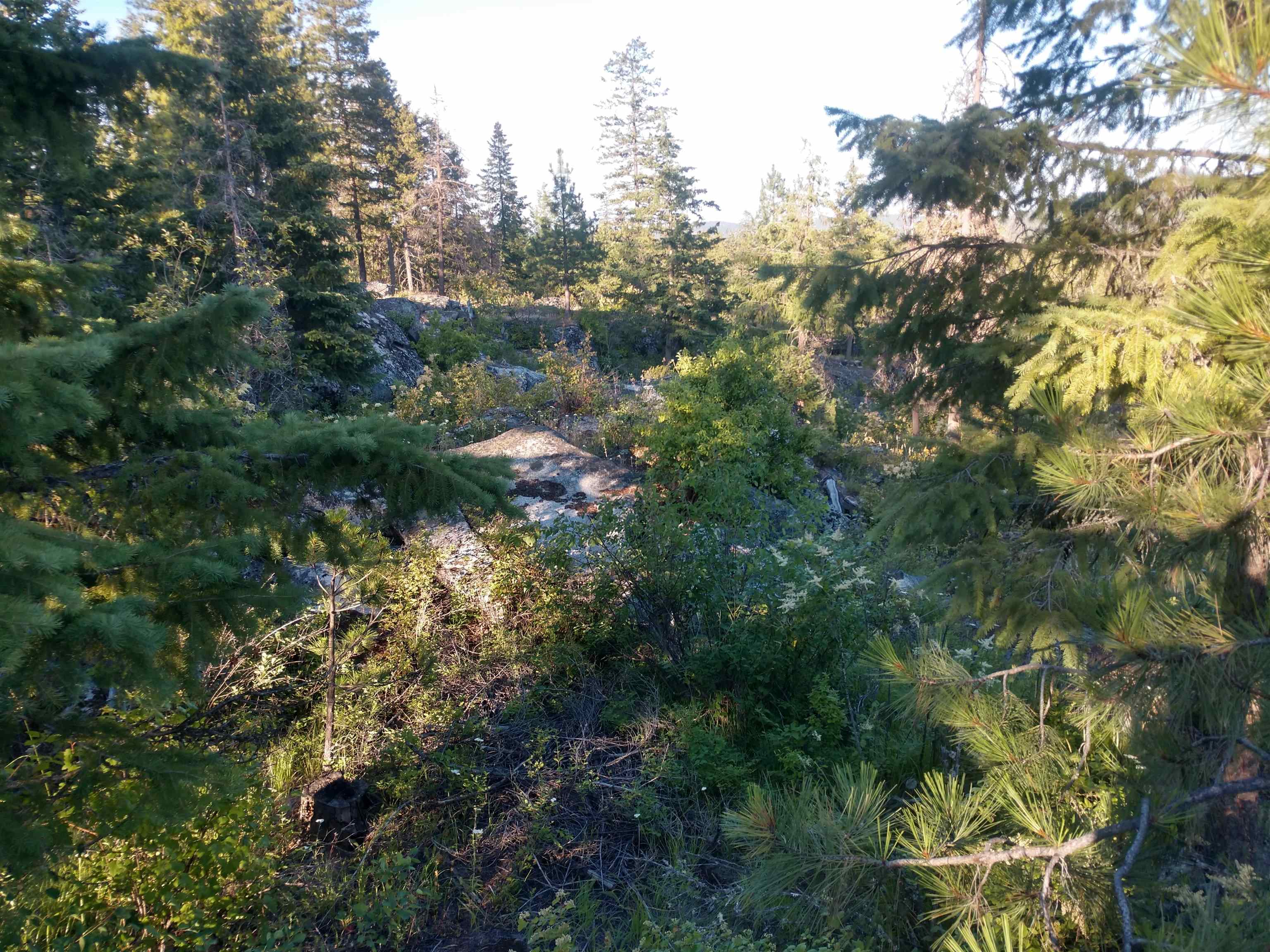 432 Quartz Rd - Photo 45