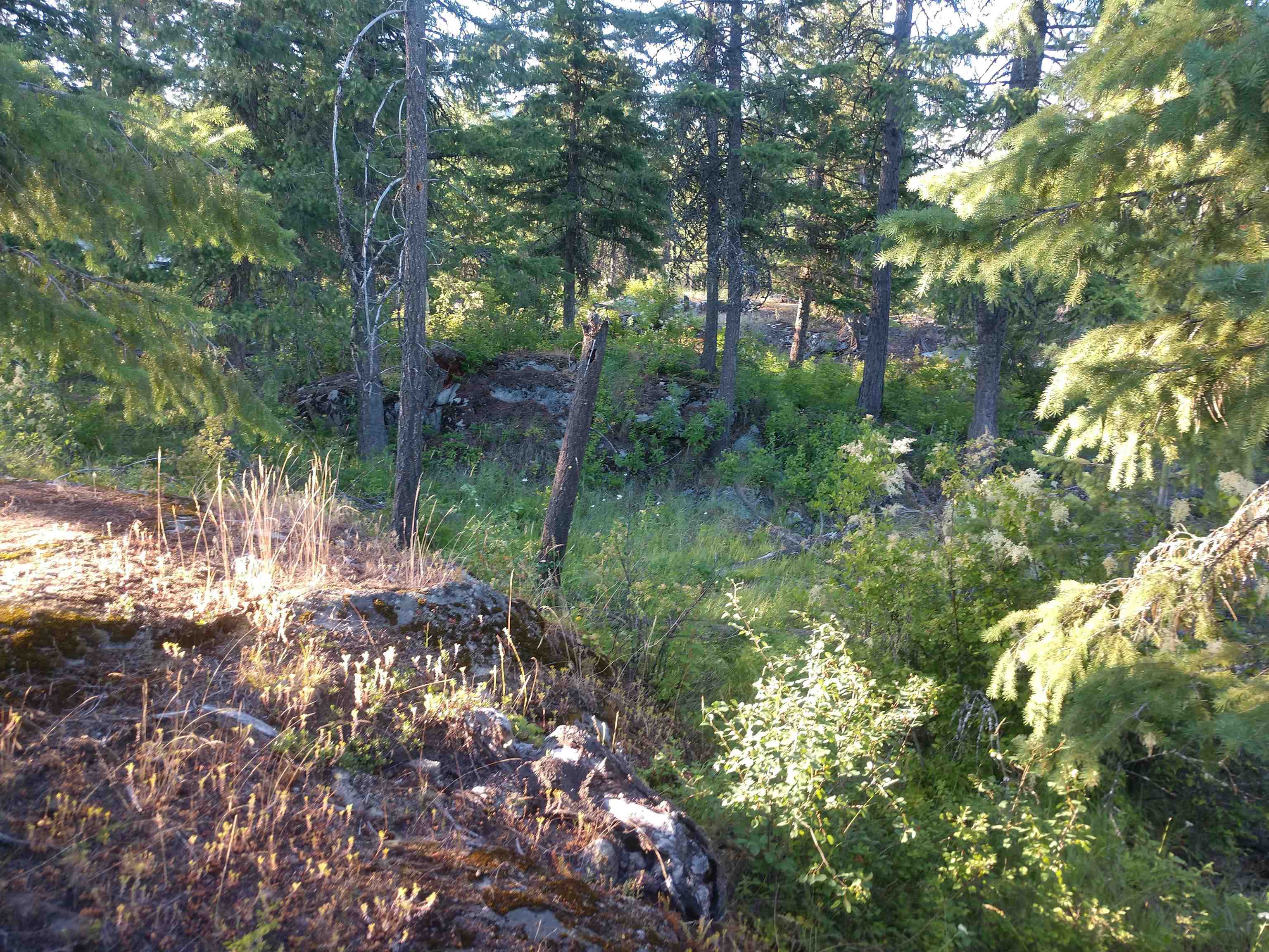 432 Quartz Rd - Photo 46