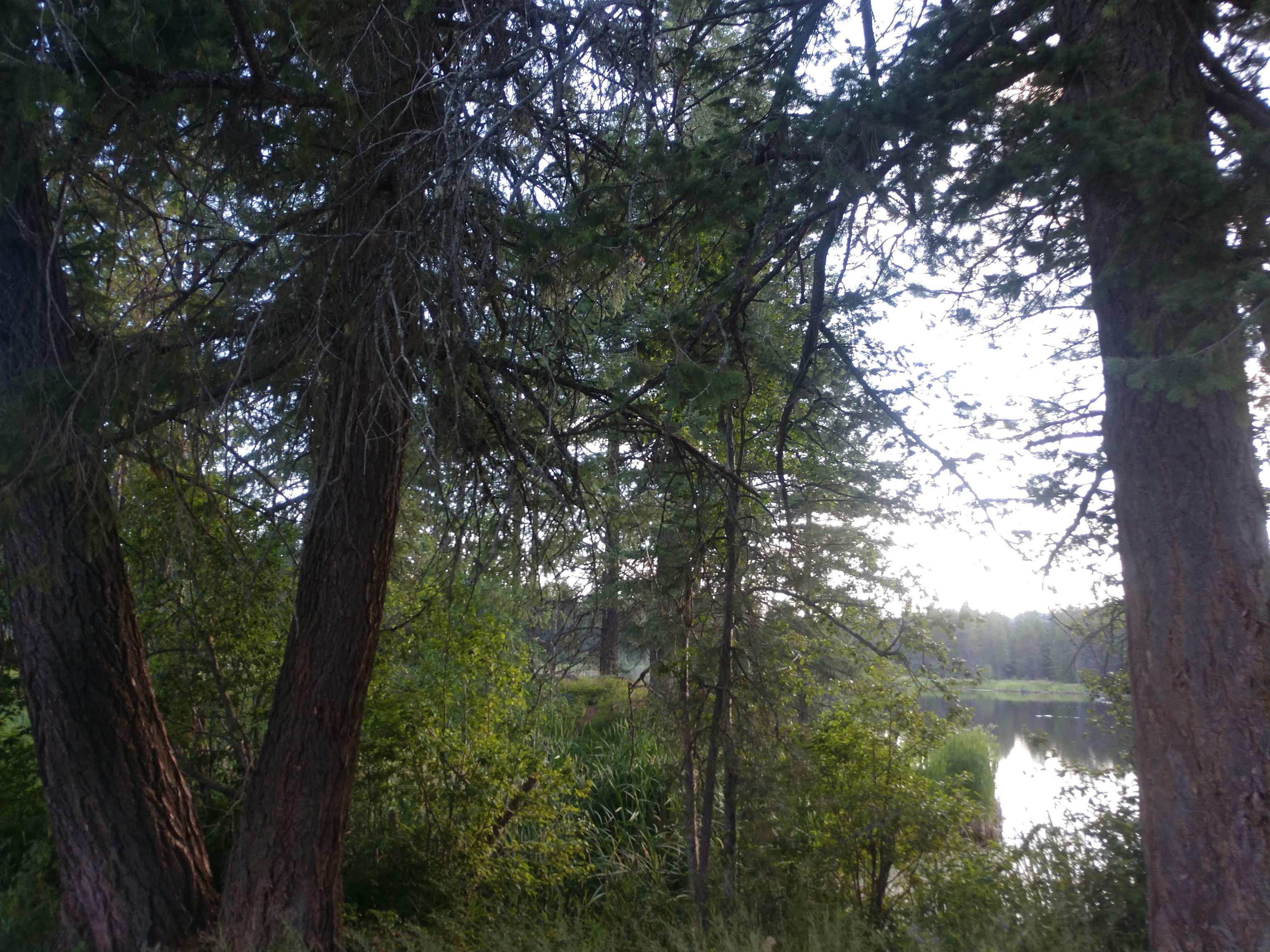 432 Quartz Rd - Photo 49