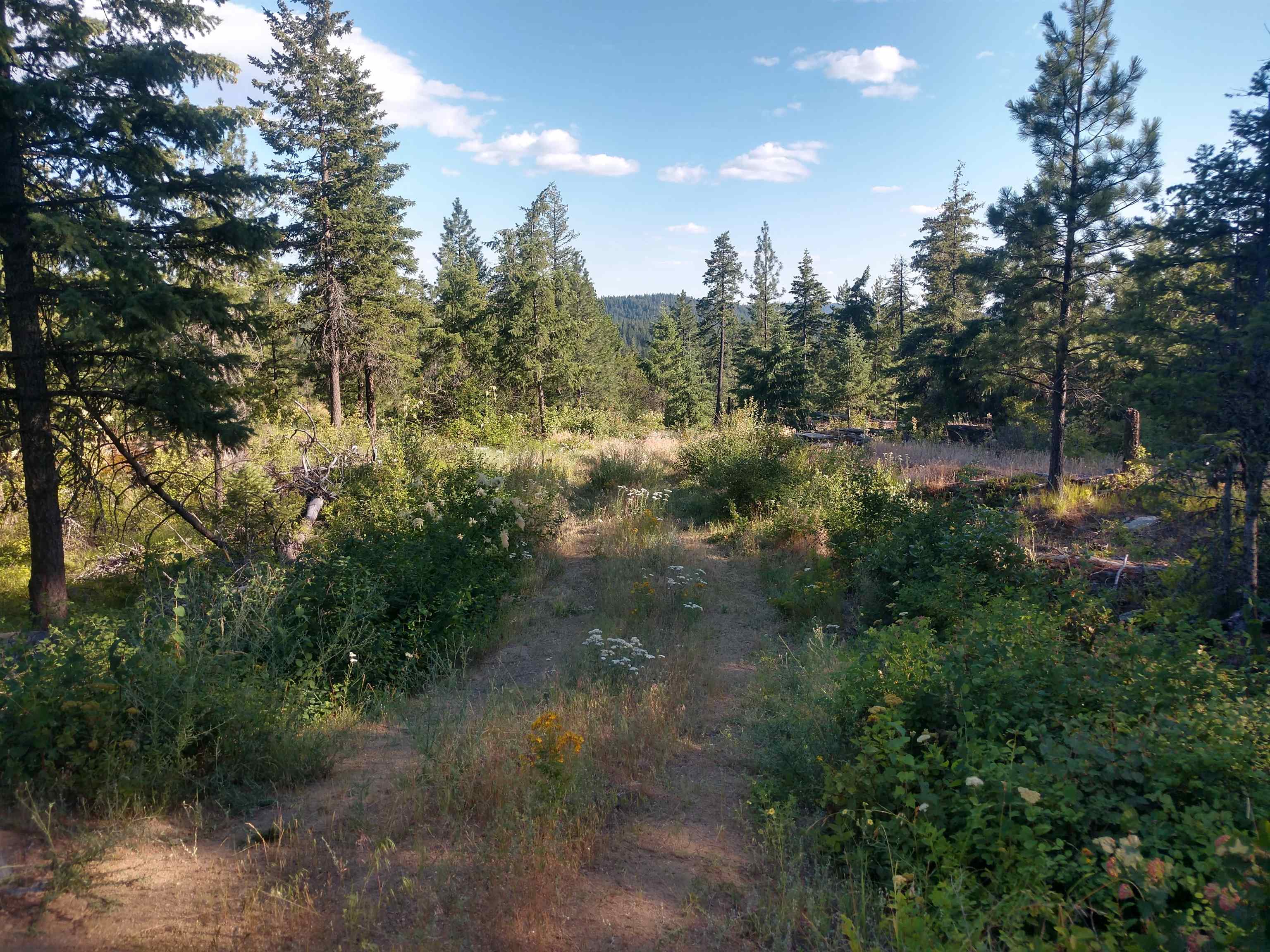 432 Quartz Rd - Photo 8