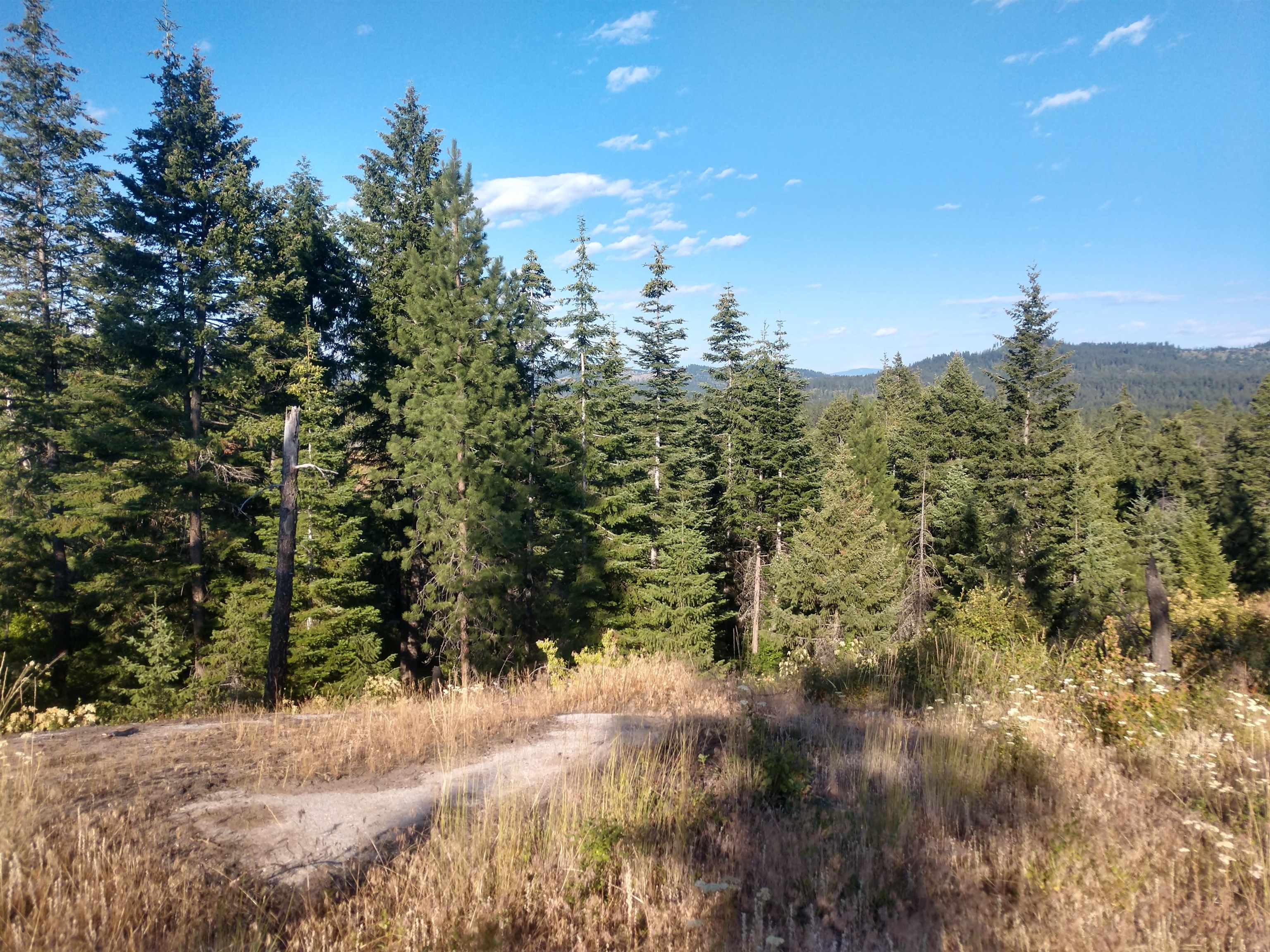 432 Quartz Rd - Photo 9