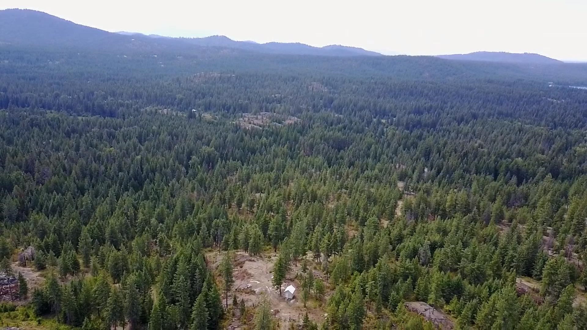 432 Quartz Rd - Photo 10