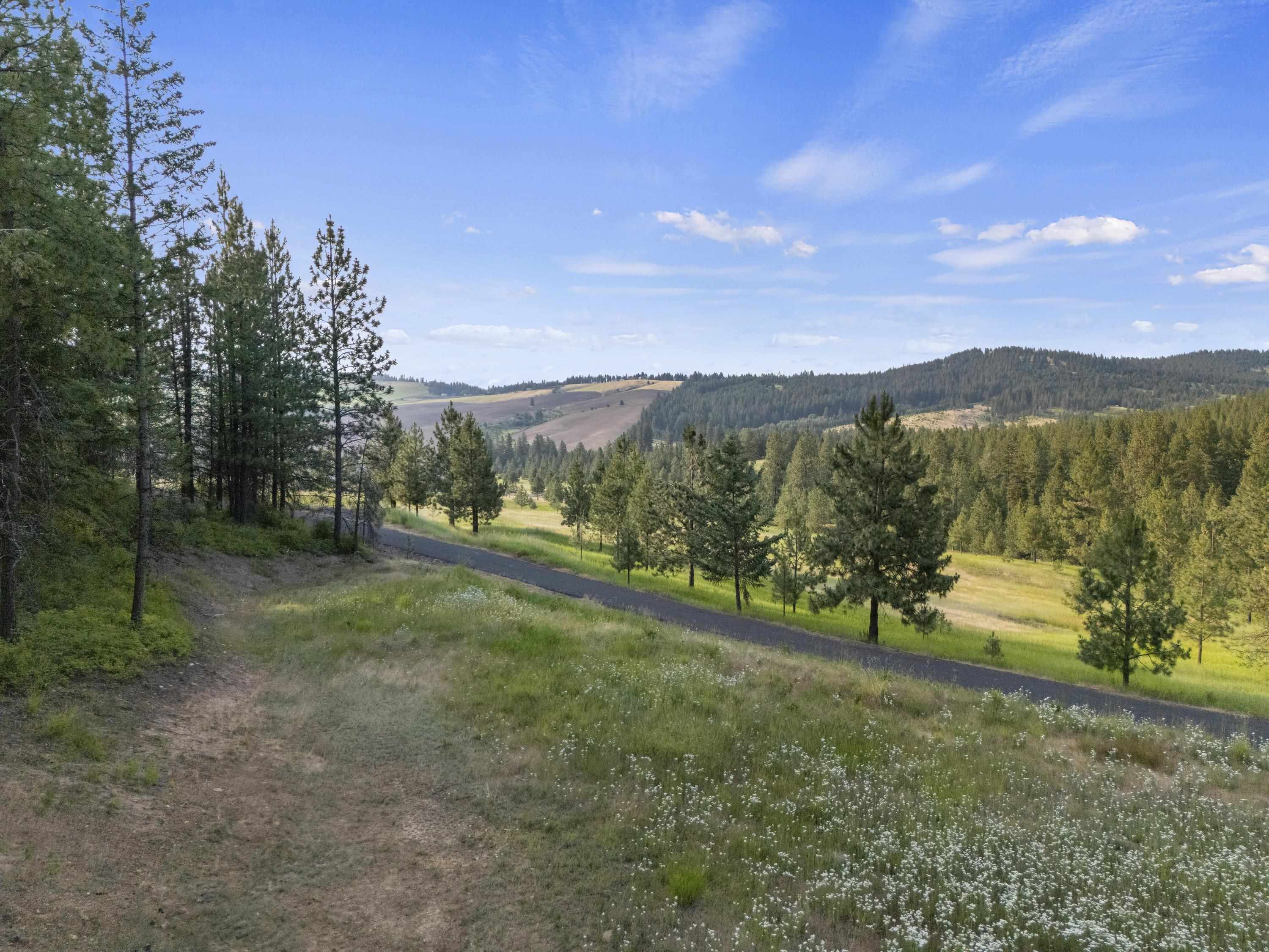 10718 S Mica Vista Ln - Photo 47